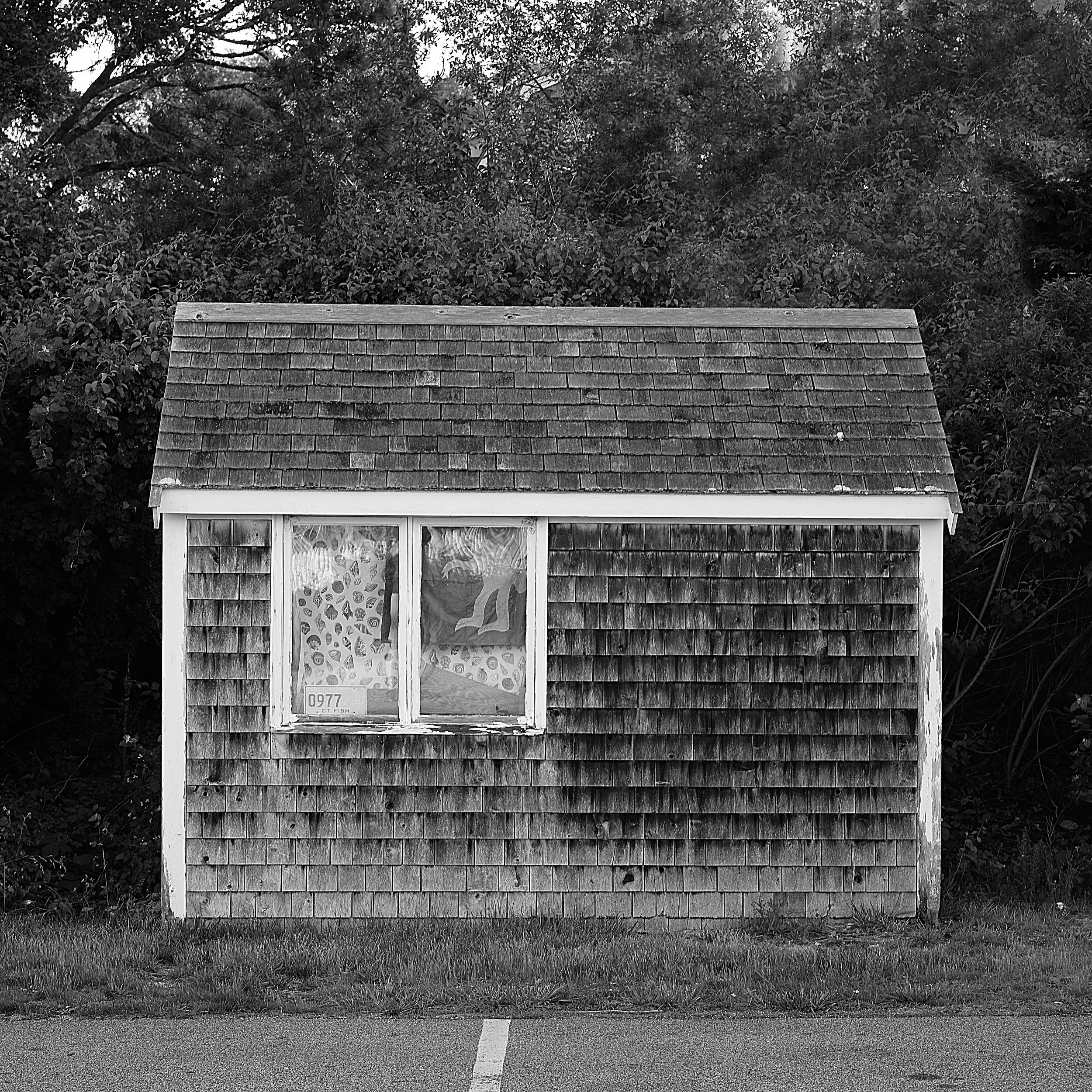 L1004826 SQUARE.jpg