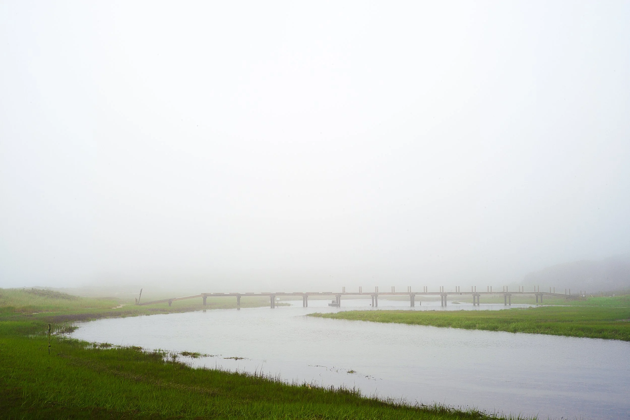 Colour photograph of a bride spanning the salt marshes in the fog up on the Outer Cape