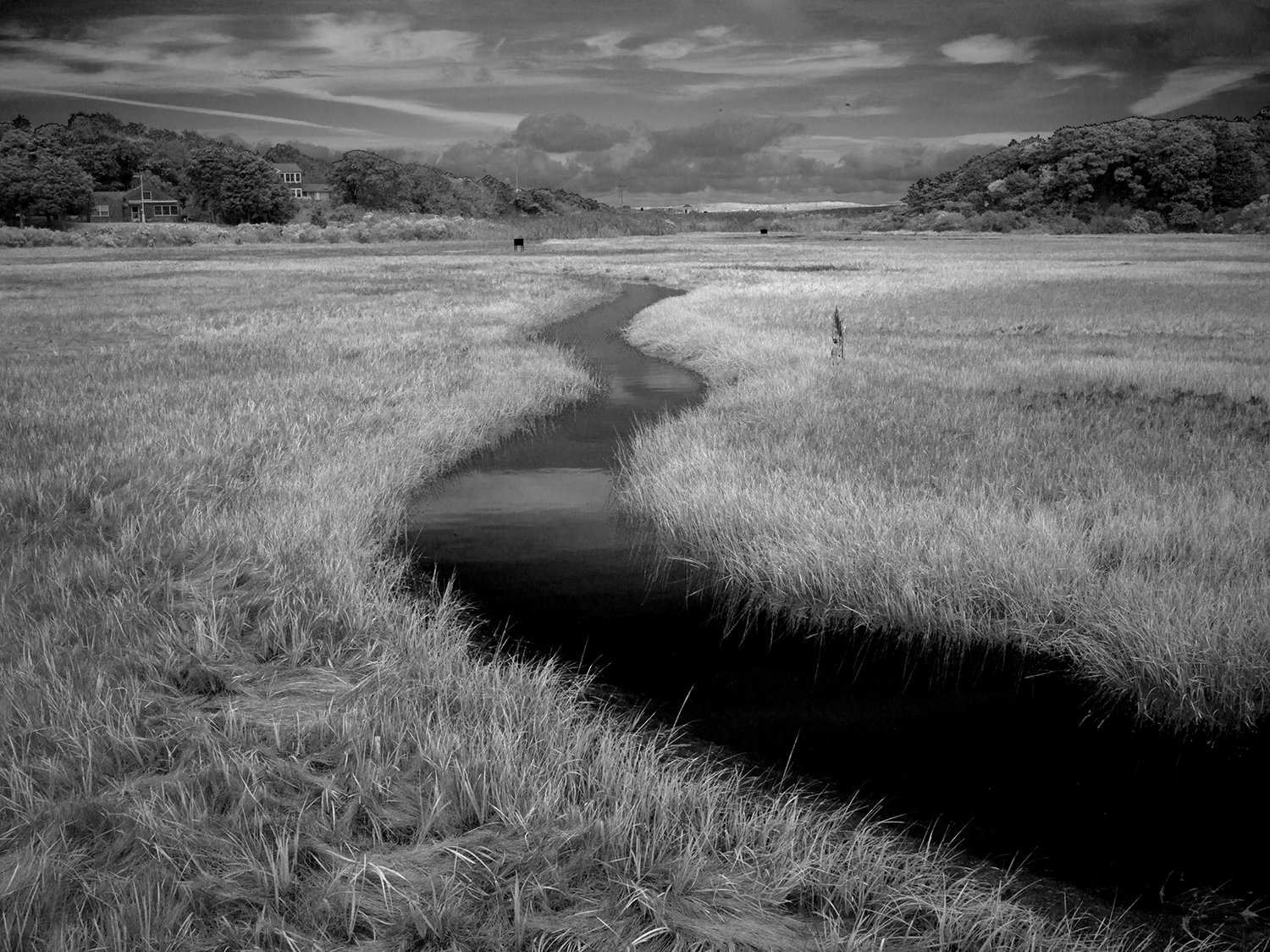 B0001607 Black and White low res .jpg