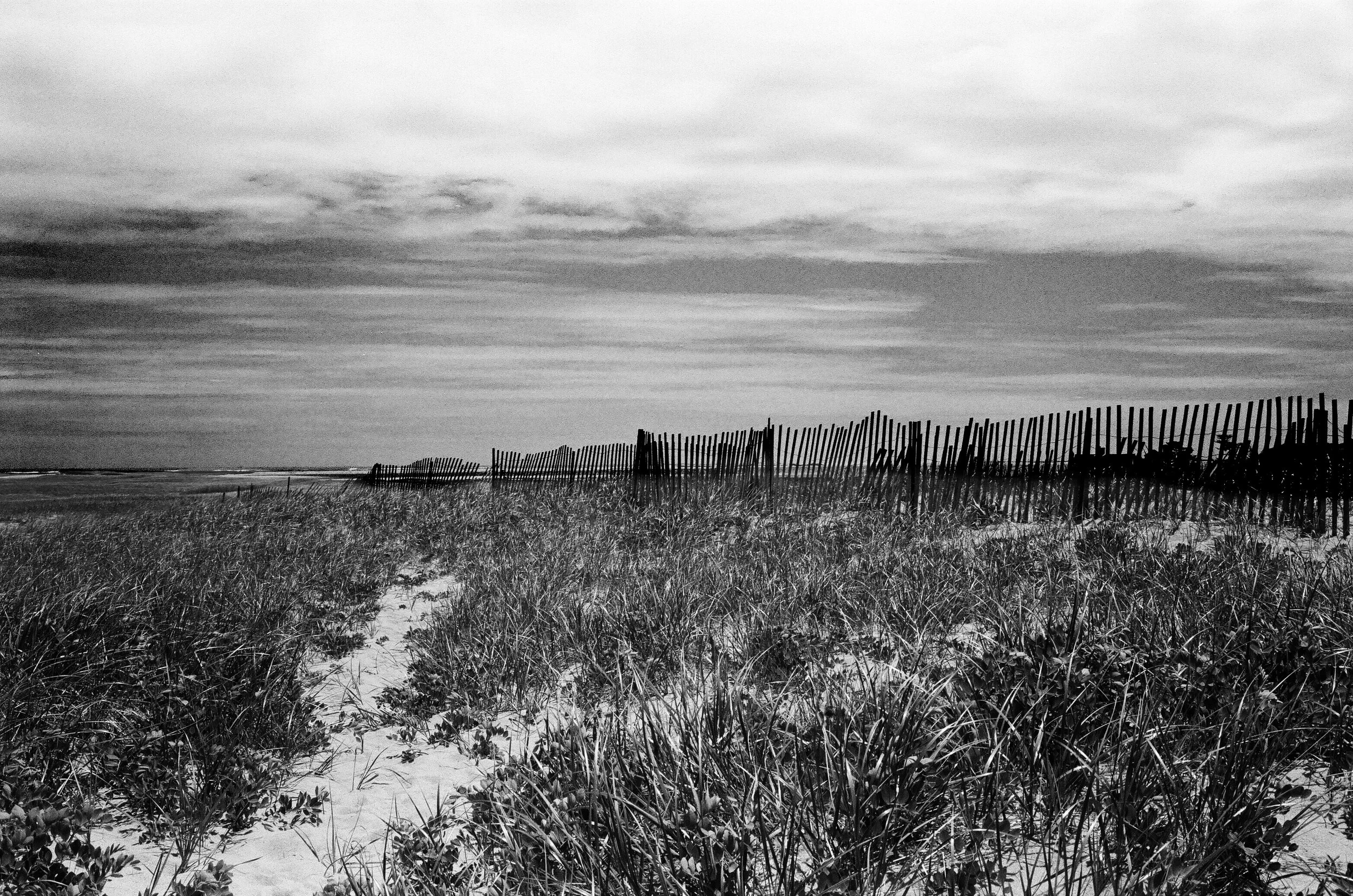 Black and White photograph of the sand dunes and a picket fence out along the Outer Cape beaches at Nauset
