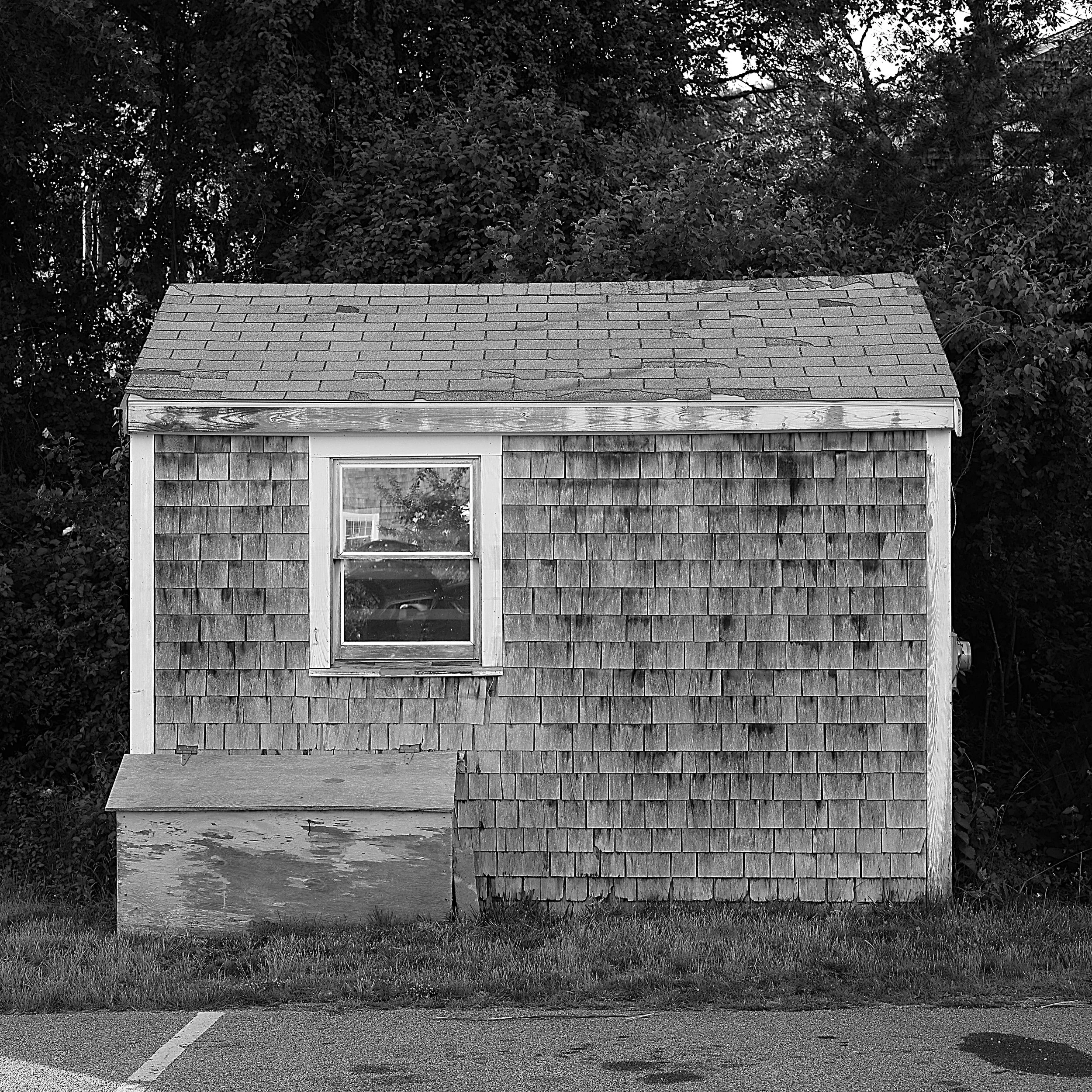 L1004827 SQUARE.jpg