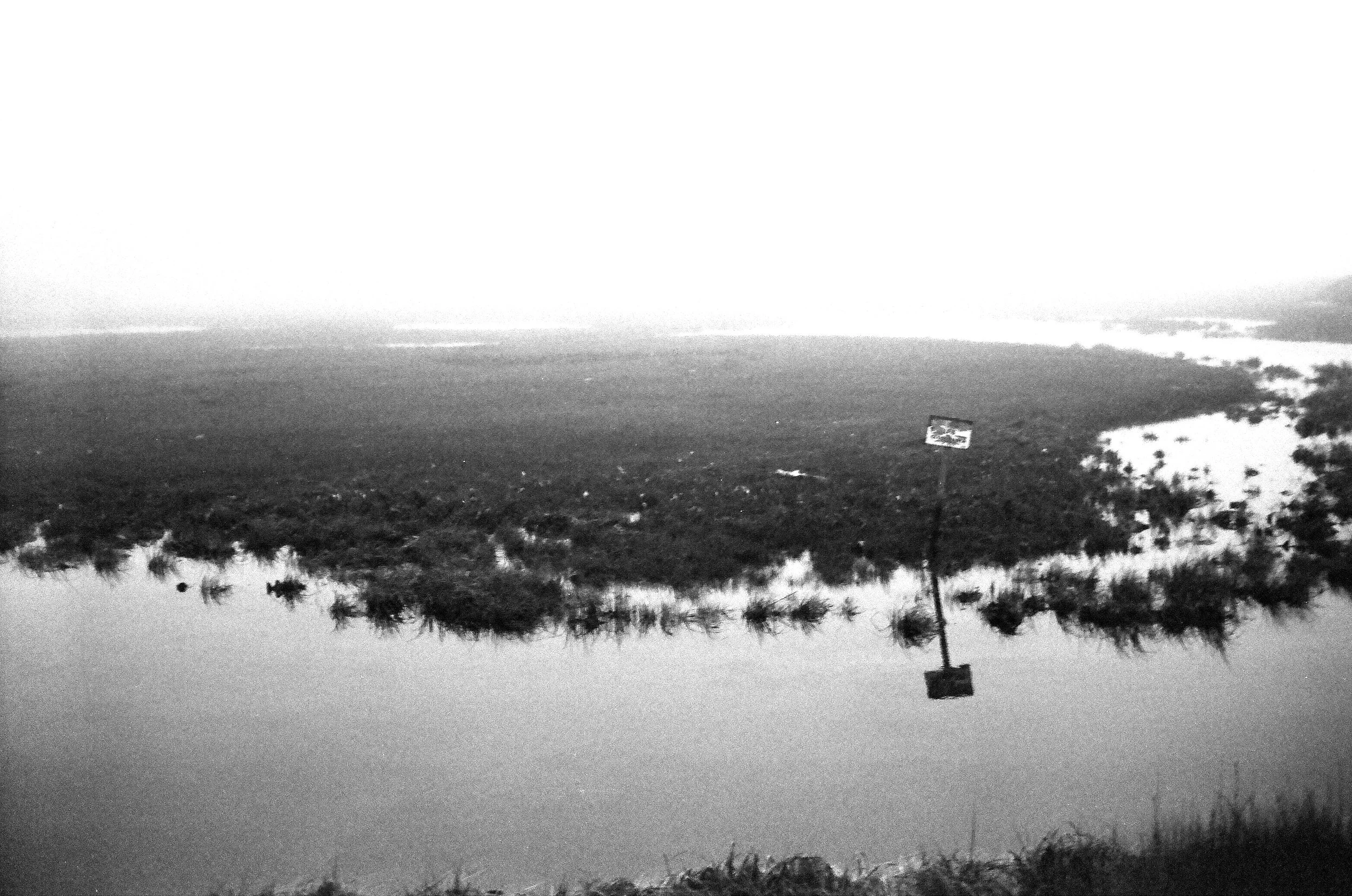 Salt Marshes in the fog with a wooden sign sticking out of the water among the grass