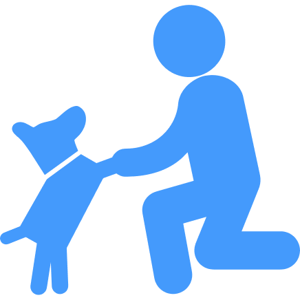 Silhouette of a person kneeling and holding a dog's paw.