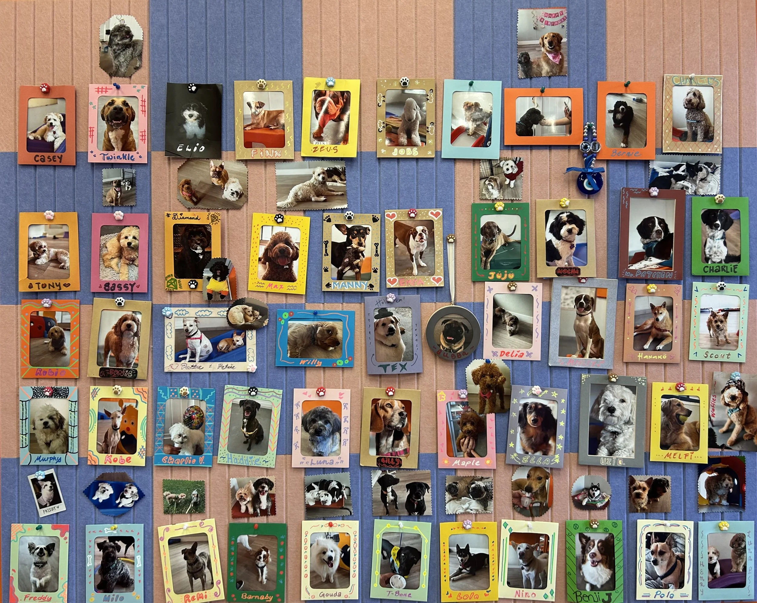 A collage of decorated photo frames with pictures of dogs on a wall.
