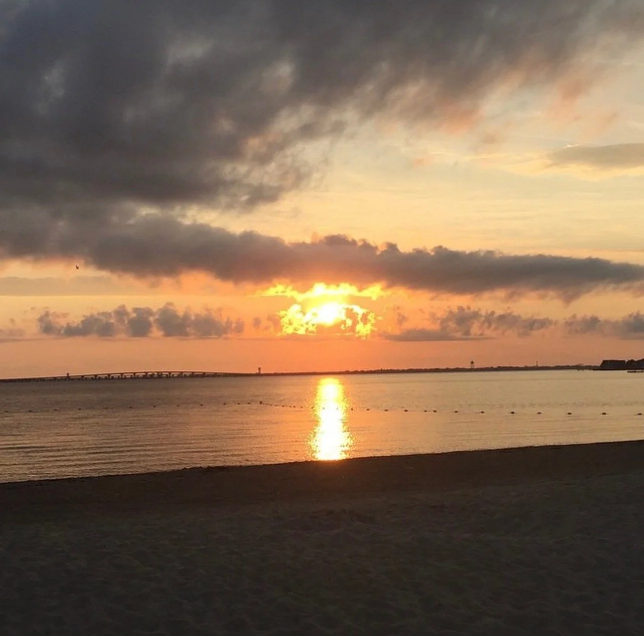 Ocean's Calling