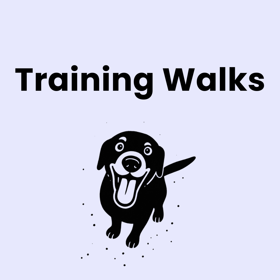 Training Walks