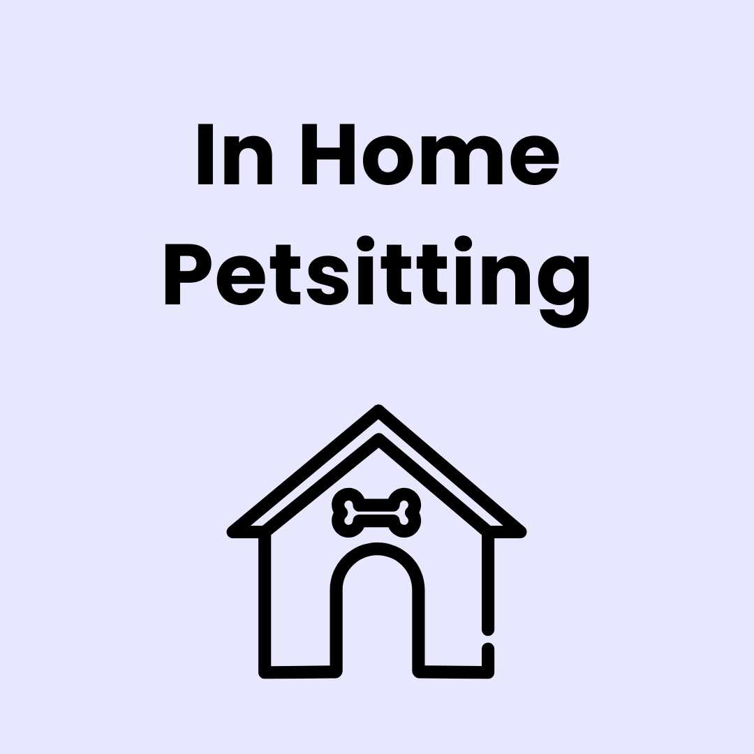 In-Home Petsitting