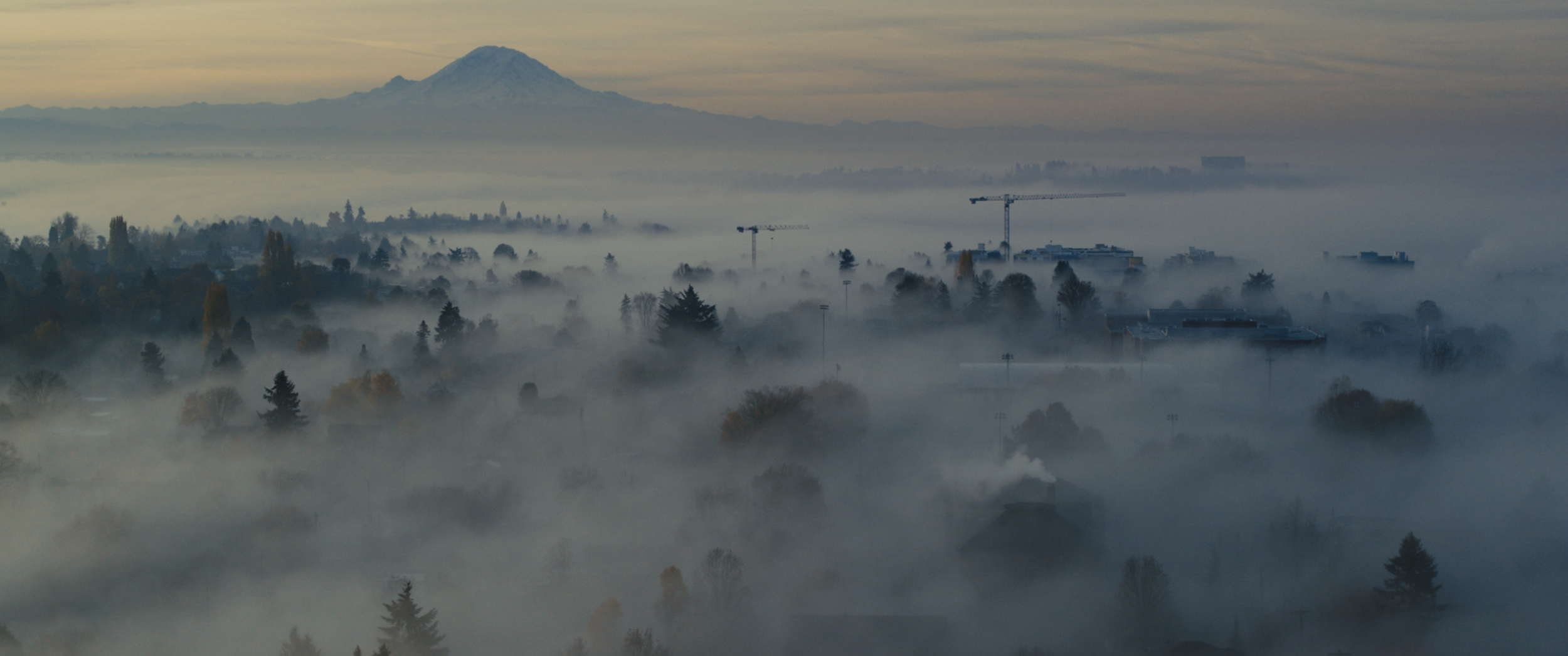 Nicholas Wiesnet | Cinematographer | Los Angeles