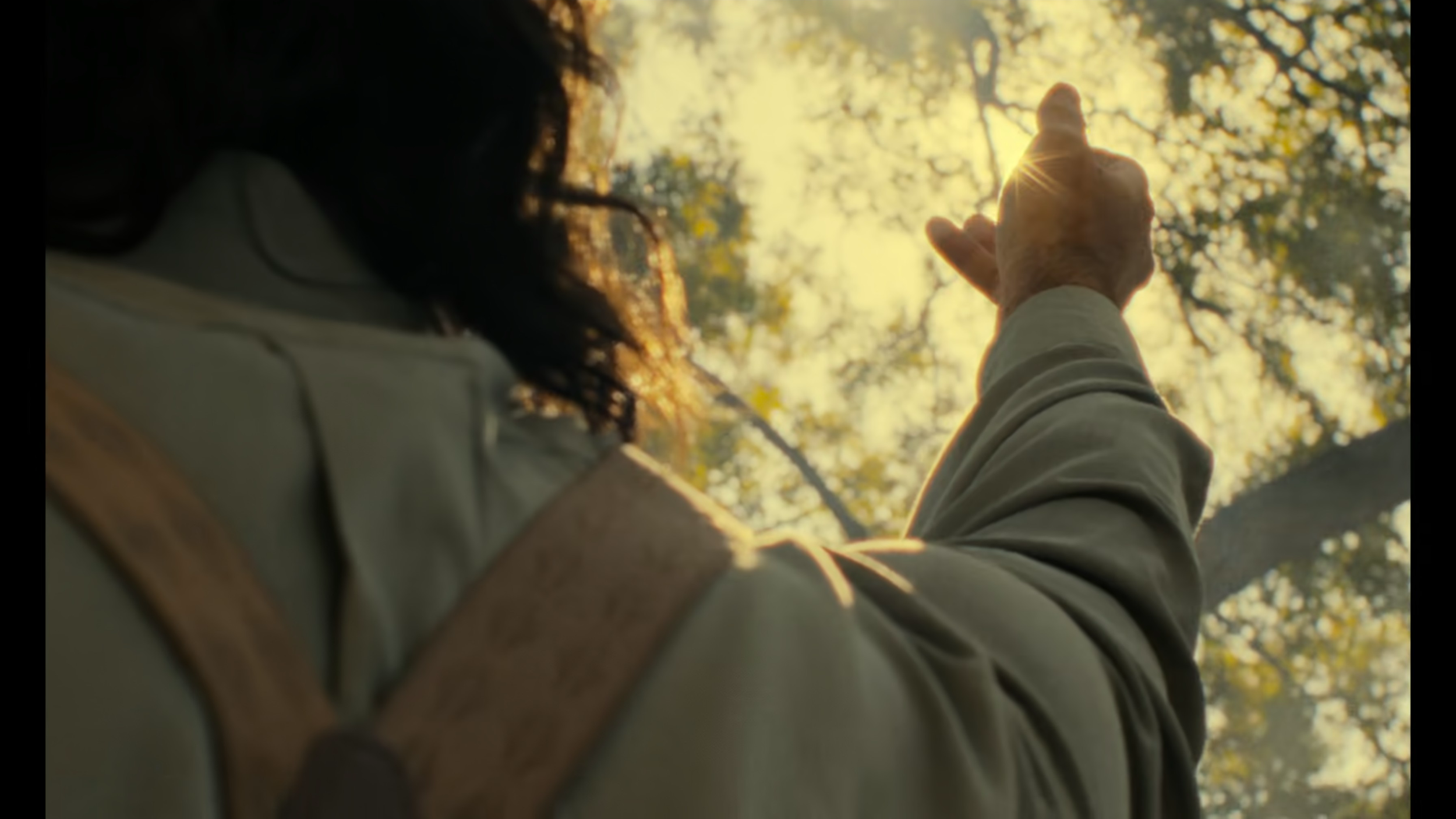 A person with curly dark hair reaching up towards the sunlight through tree branches in a forest, wearing a beige jacket.