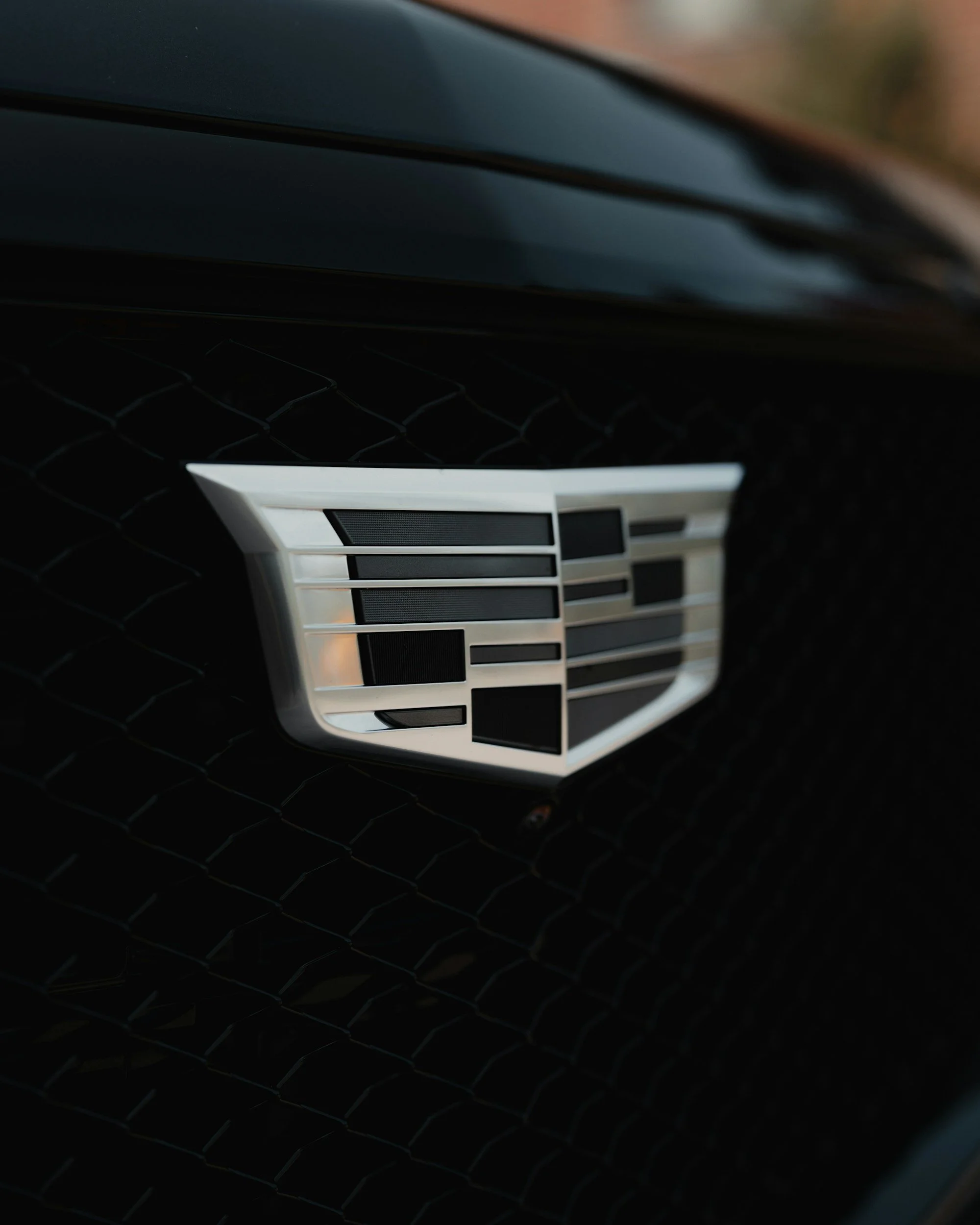 Close-up of a car's front grille with a prominent silver emblem.