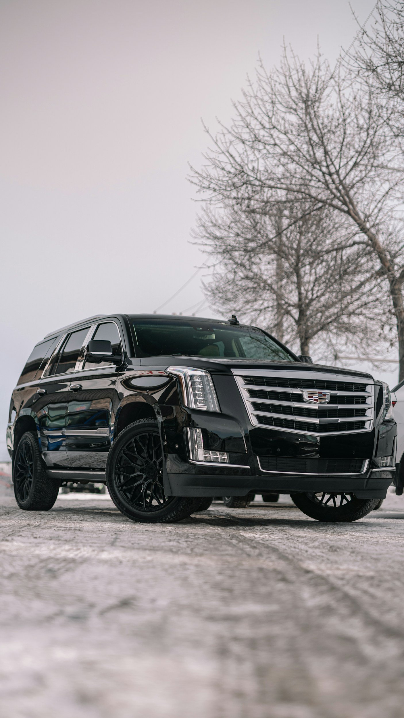 Black Cadillac Escalade SUV parked on snow-covered ground with bare trees and cloudy sky in the background.