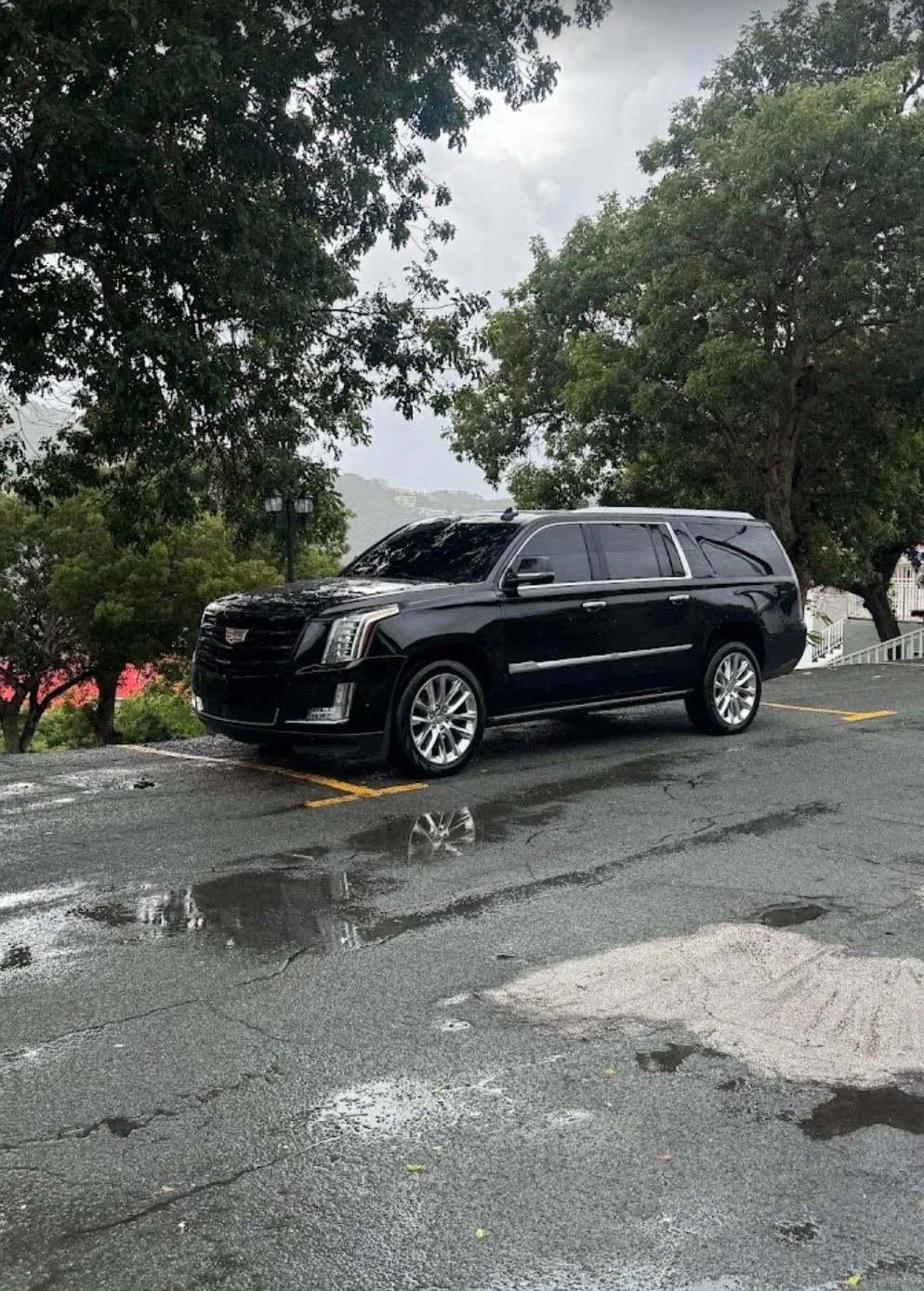 A black Cadillac SUV parked in a parking lot with puddles on the wet asphalt, surrounded by green trees and cloudy skies.