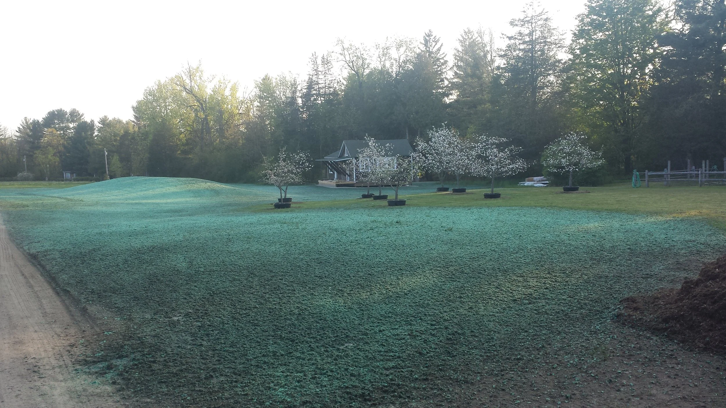 Summit Landworks_Hydroseeding_Residential_6.jpg