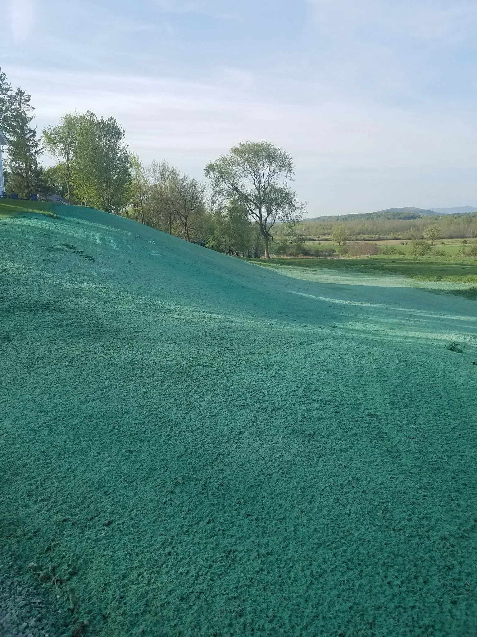 Summit Landworks_Hydroseeding_Residential_8.jpg