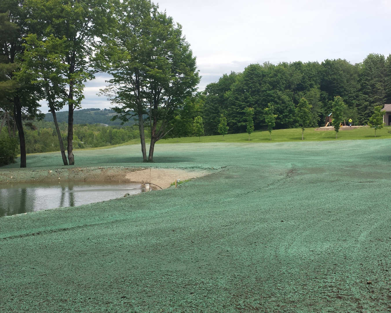 Summit Landworks_Hydroseeding_Gallery 2.png