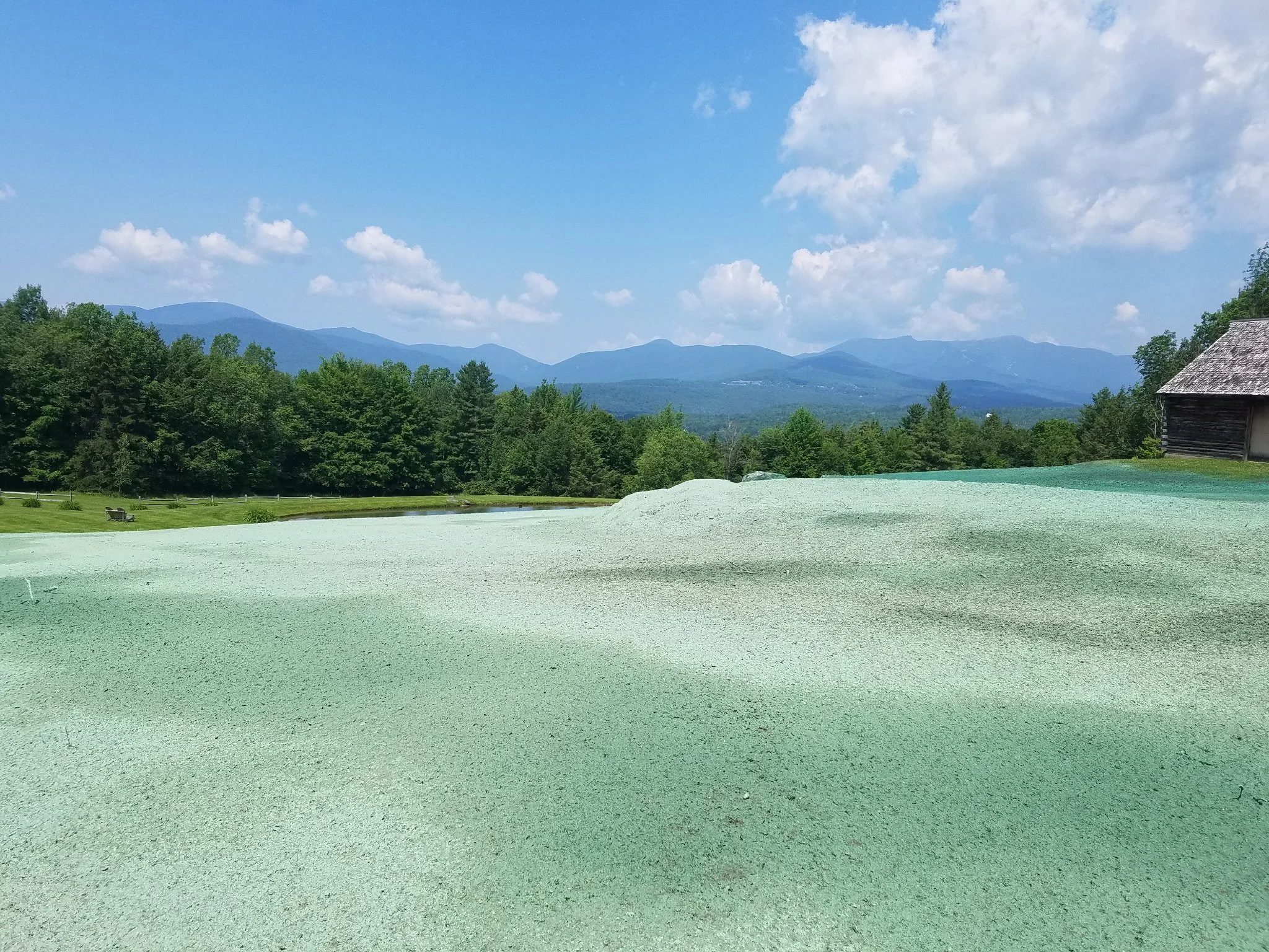 Summit Landworks_Hydroseeding_Residential_10.jpg