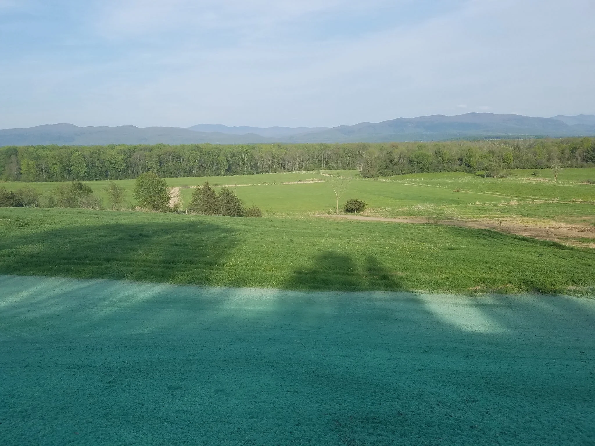 Summit Landworks_Hydroseeding_Residential_25.jpg