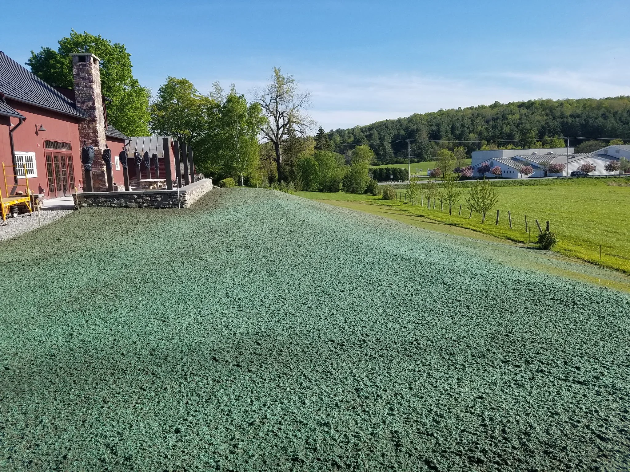 Summit Landworks_Hydroseeding_Commercial_5.jpg