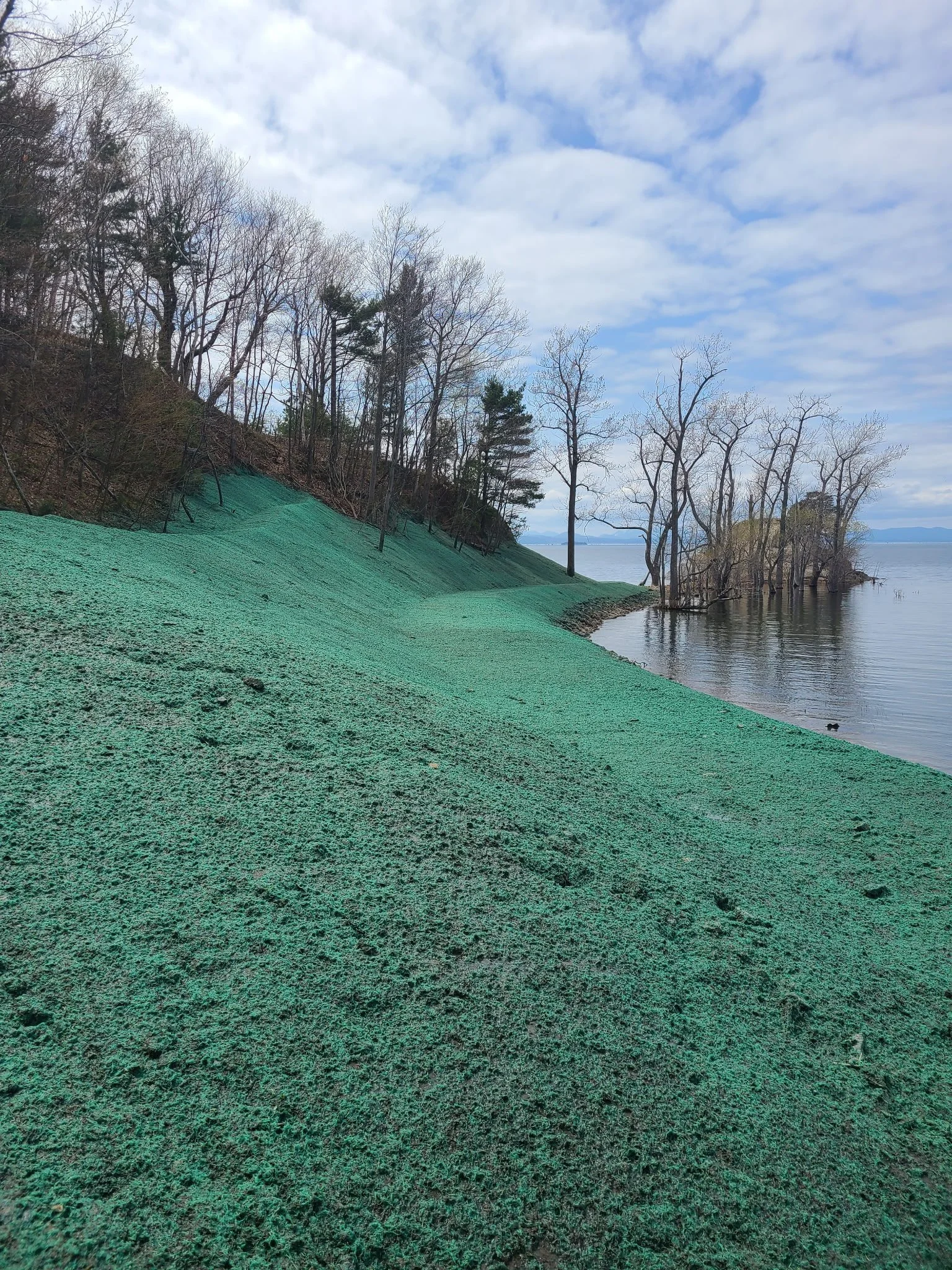 Summit Landworks_Hydroseeding_Residential_9.jpg