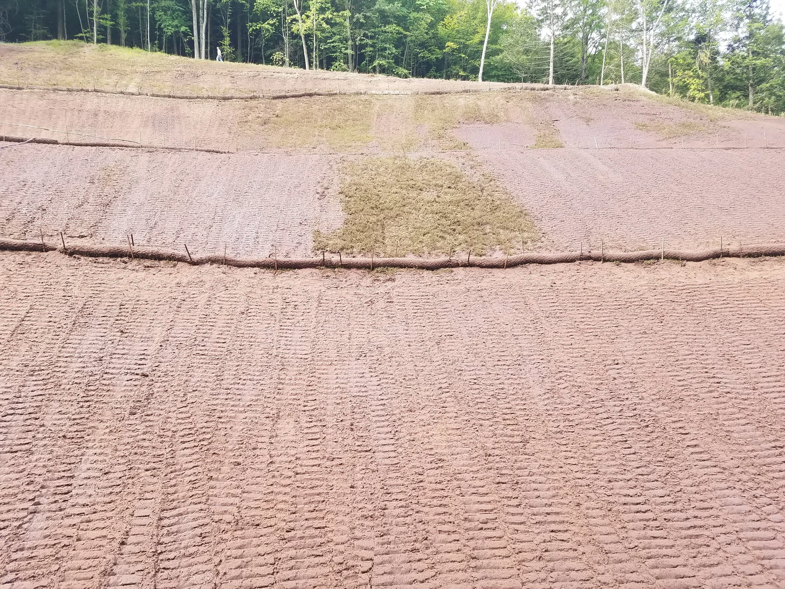 Summit Landworks_Hydroseeding_Commercial_24.jpg