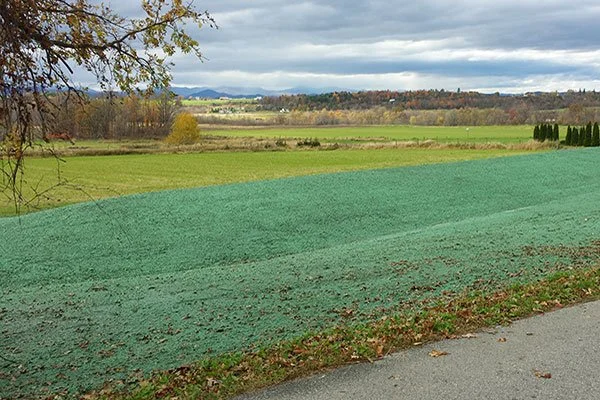 Summit Landworks_Hydroseeding_Residential 8.jpg