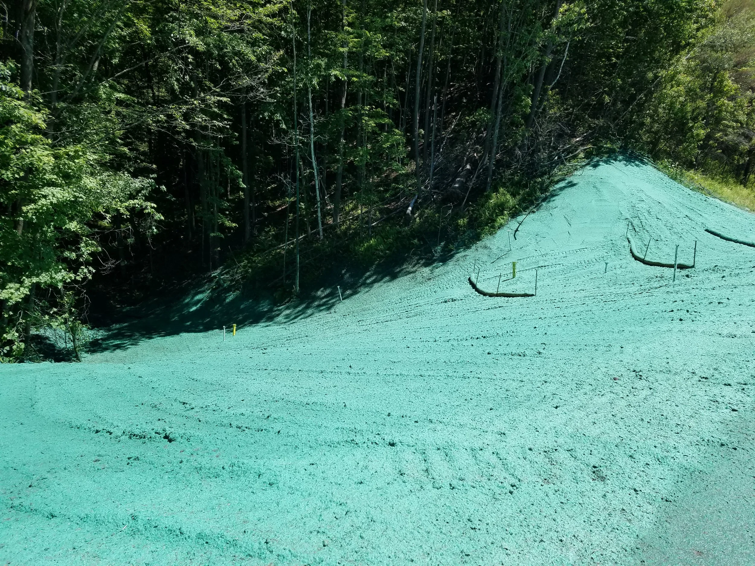 Summit Landworks_Hydroseeding_Commercial_21.jpg