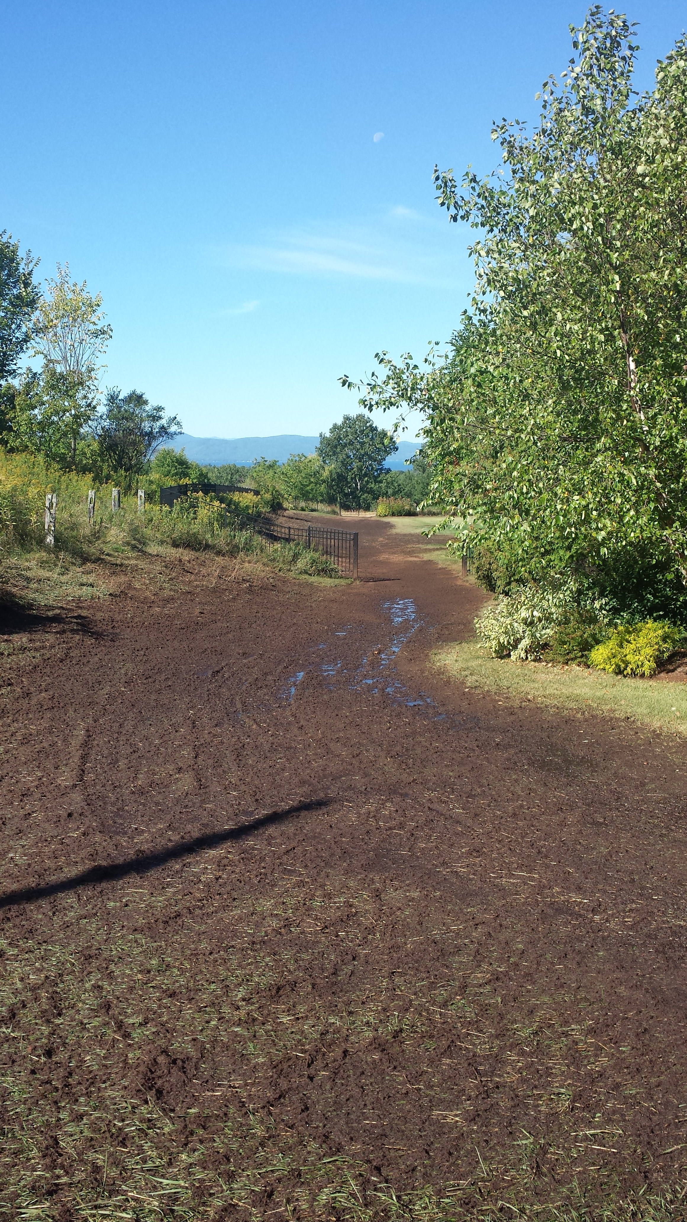 Summit Landworks_Hydroseeding_Residential_11.jpg