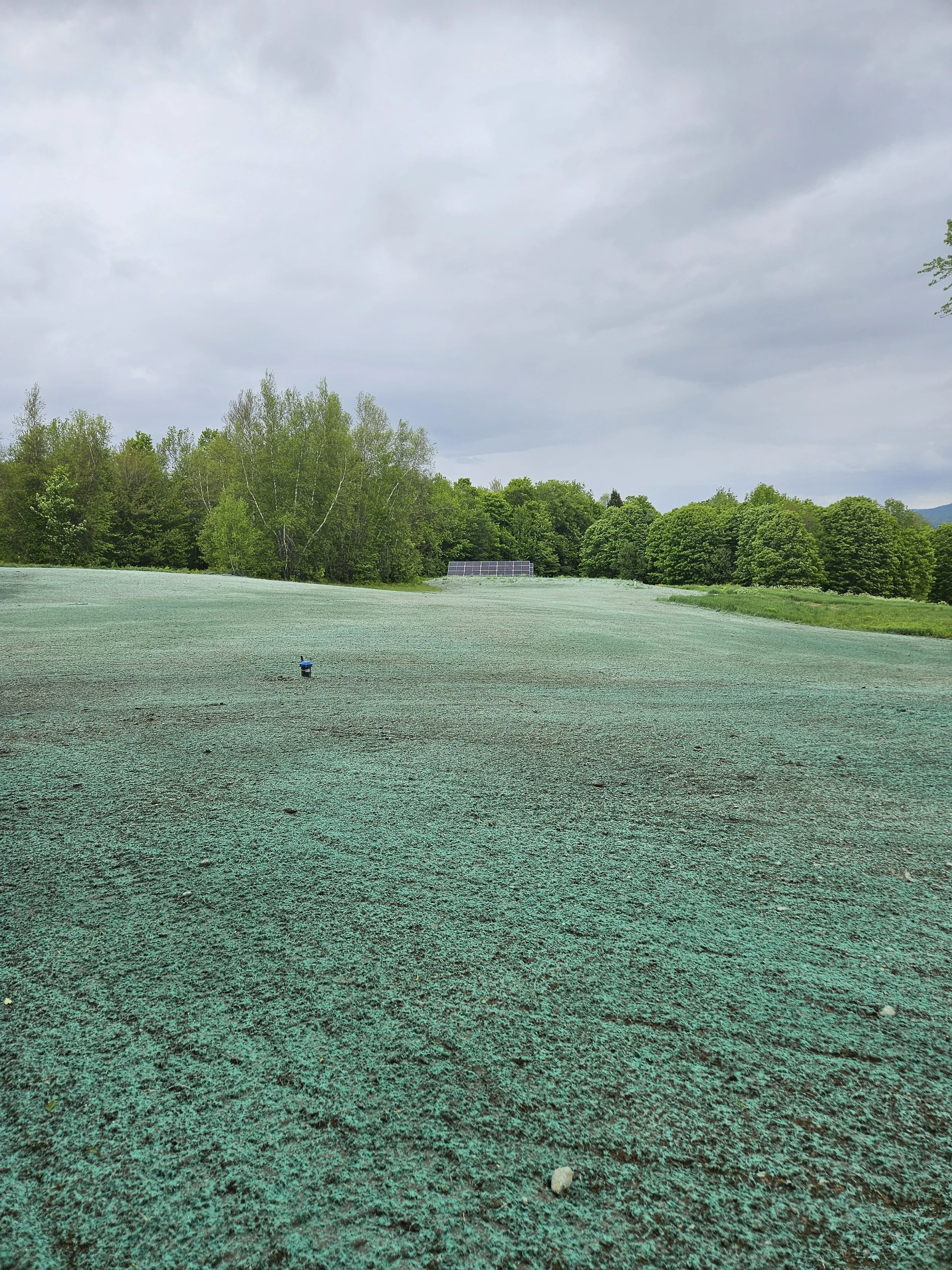 Summit Landworks_Hydroseeding_Commercial_17.jpg