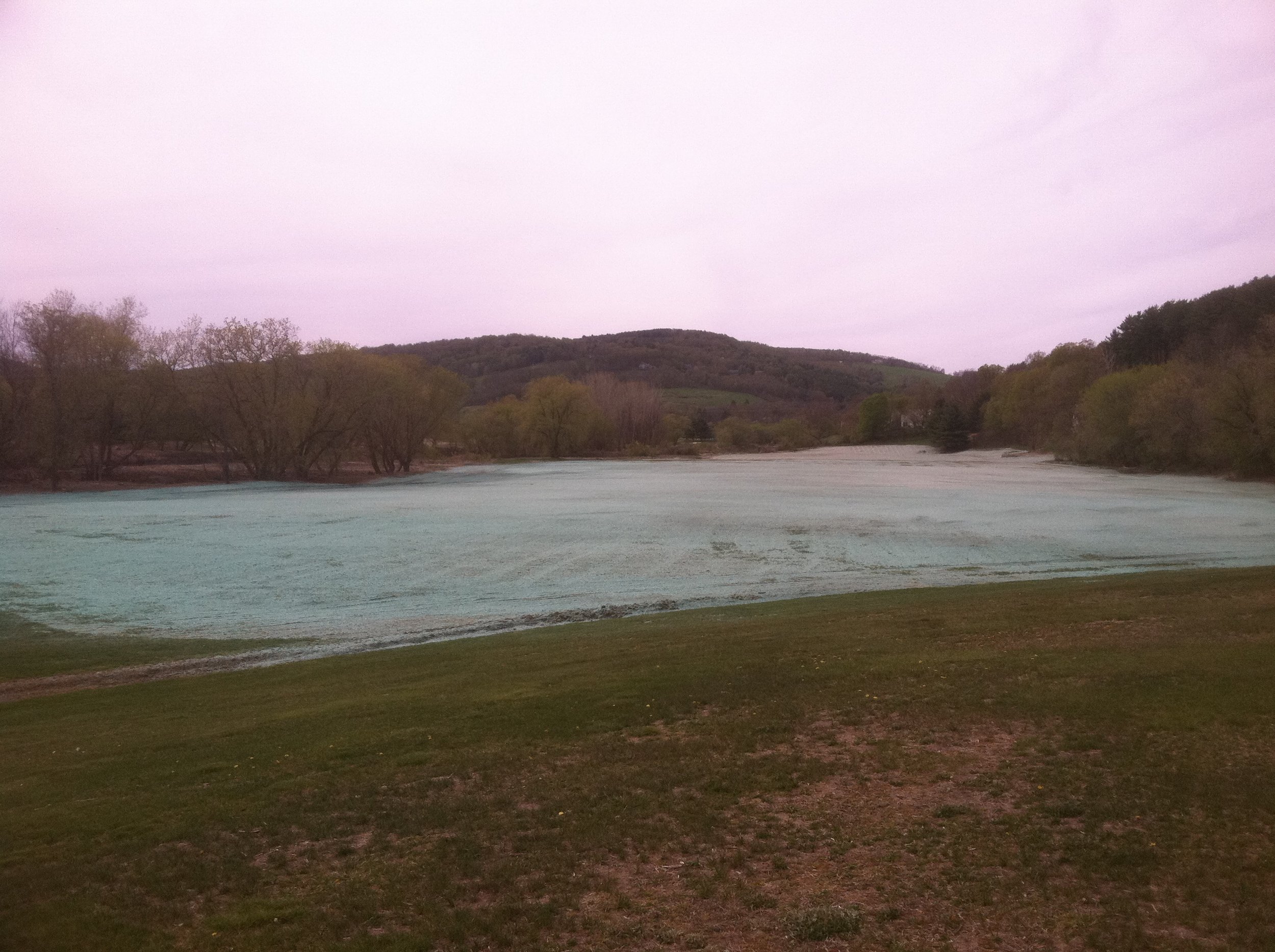 Summit Landworks_Hydroseeding_Commercial_23.JPG