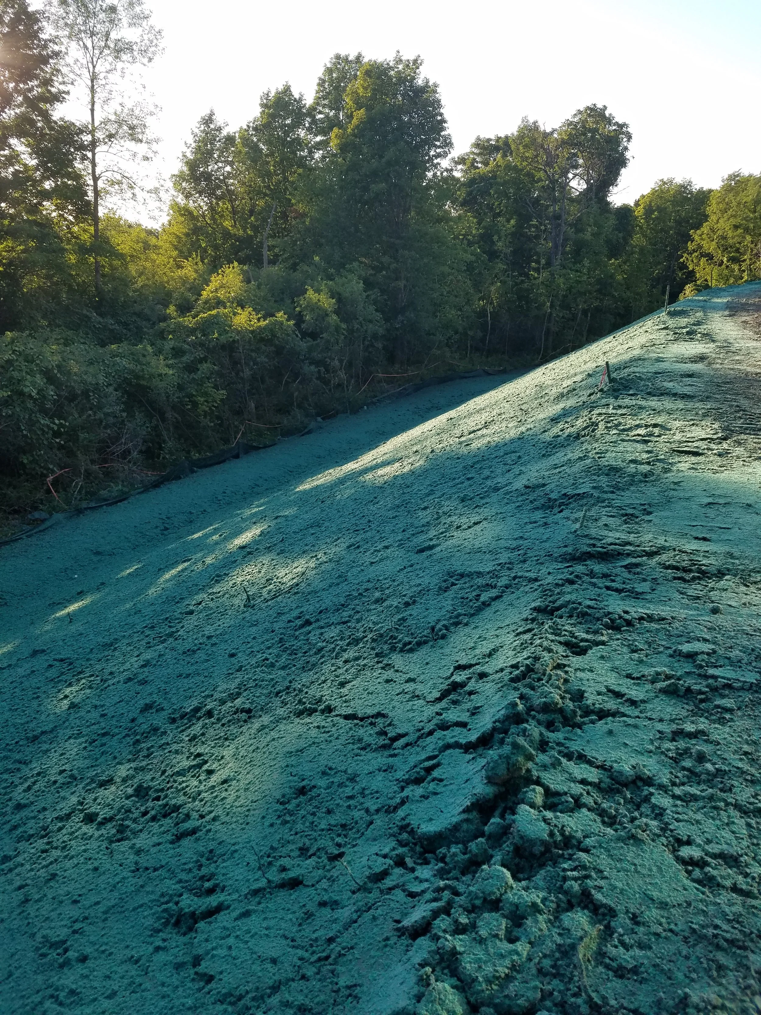 Summit Landworks_Hydroseeding_Erosion Control_37.jpg