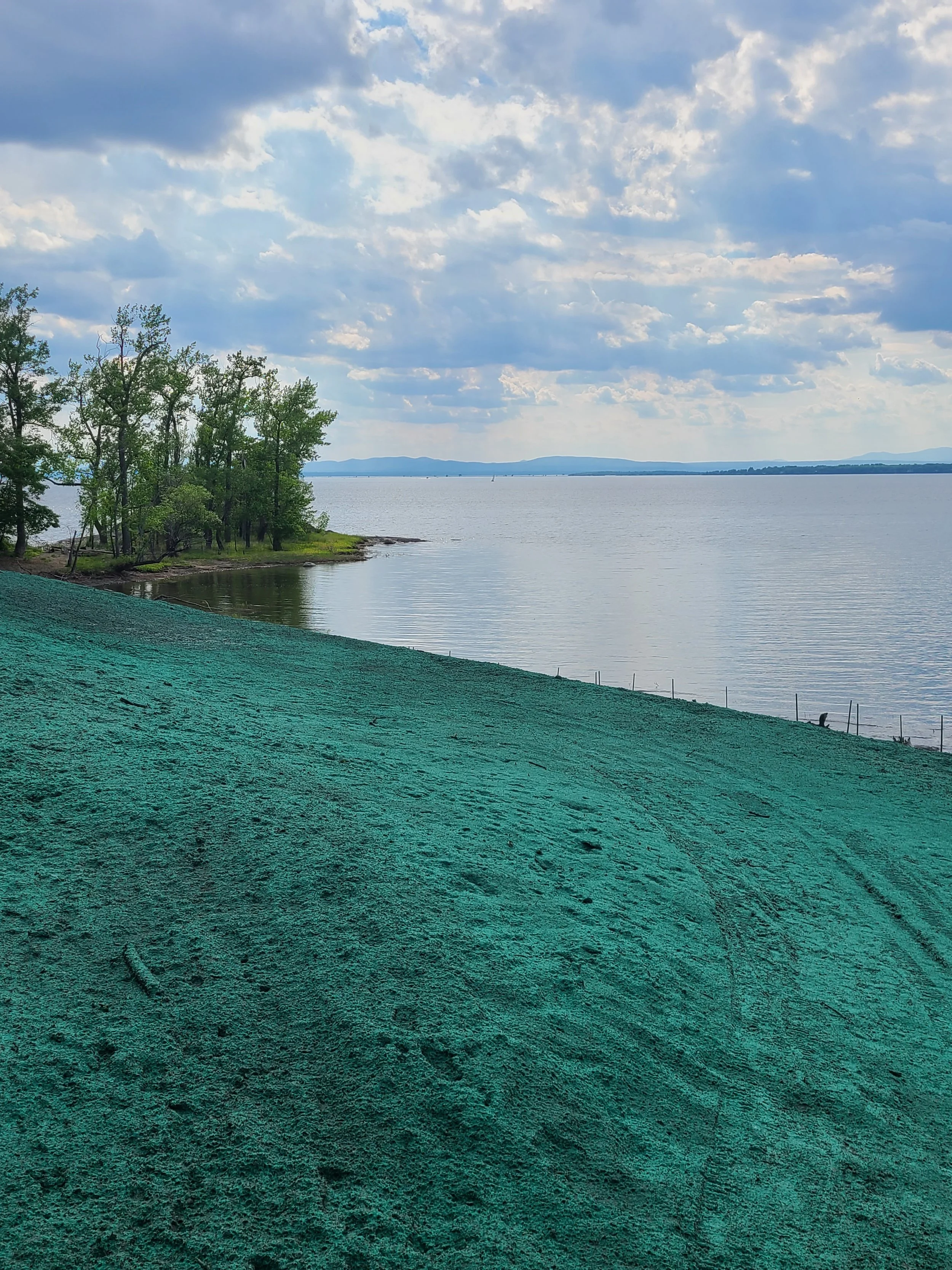 Summit Landworks_Hydroseeding_Residential_16.jpg