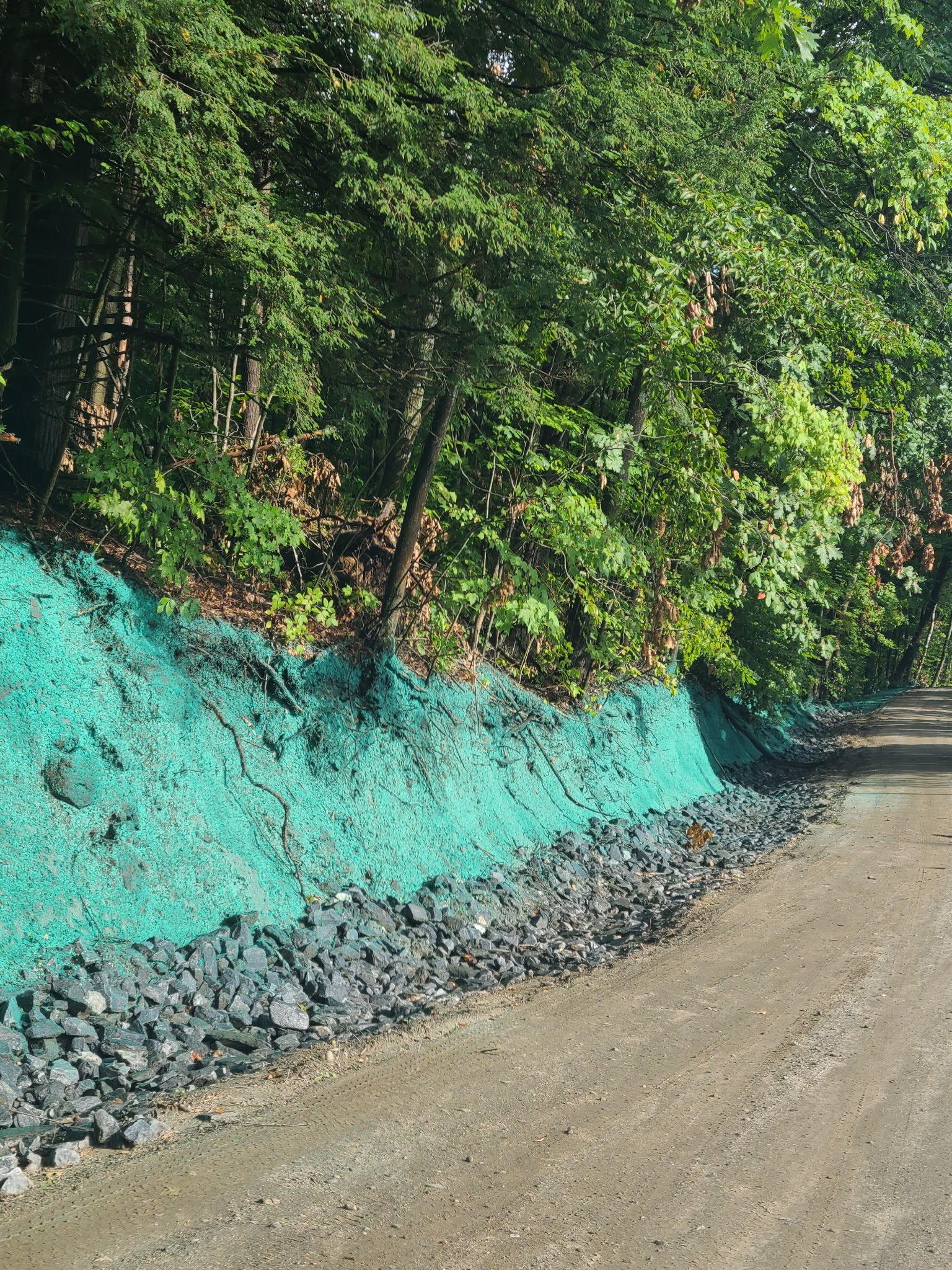 Summit Landworks_Hydroseeding_Erosion Control_27.jpg