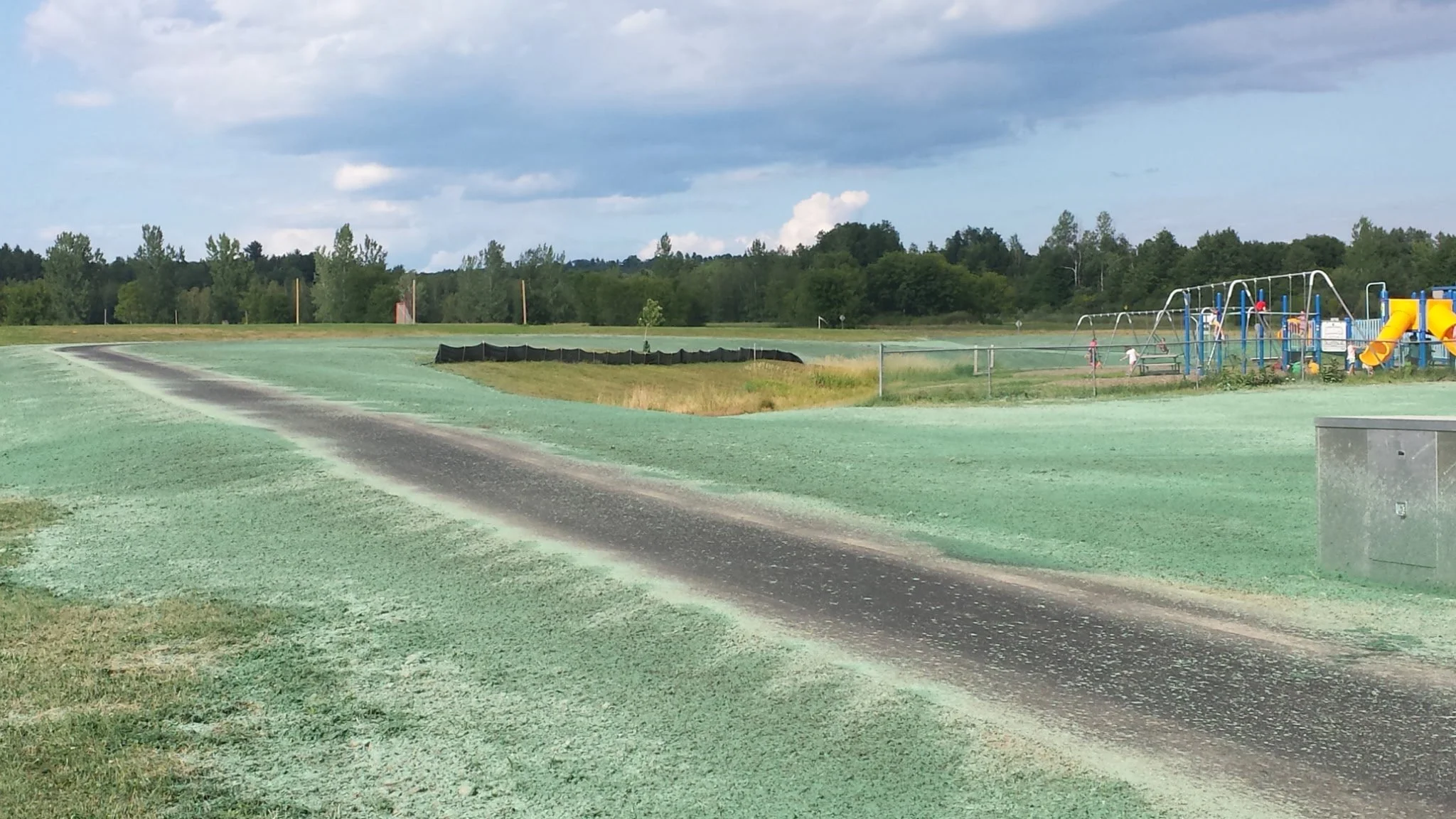 Summit Landworks_Hydroseeding_Municipal_4.jpg