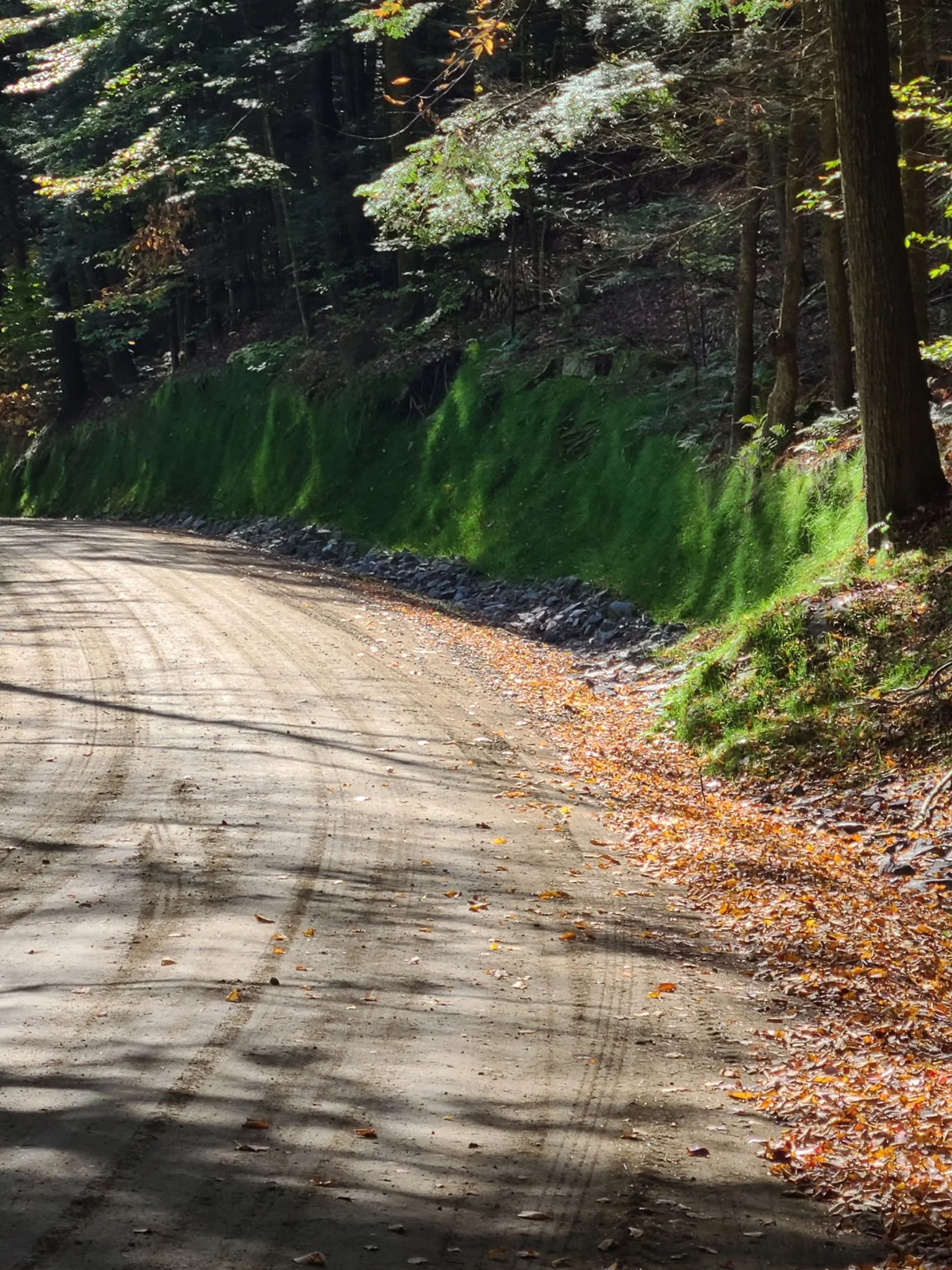 Summit Landworks_Hydroseeding_Municipal_14.jpg