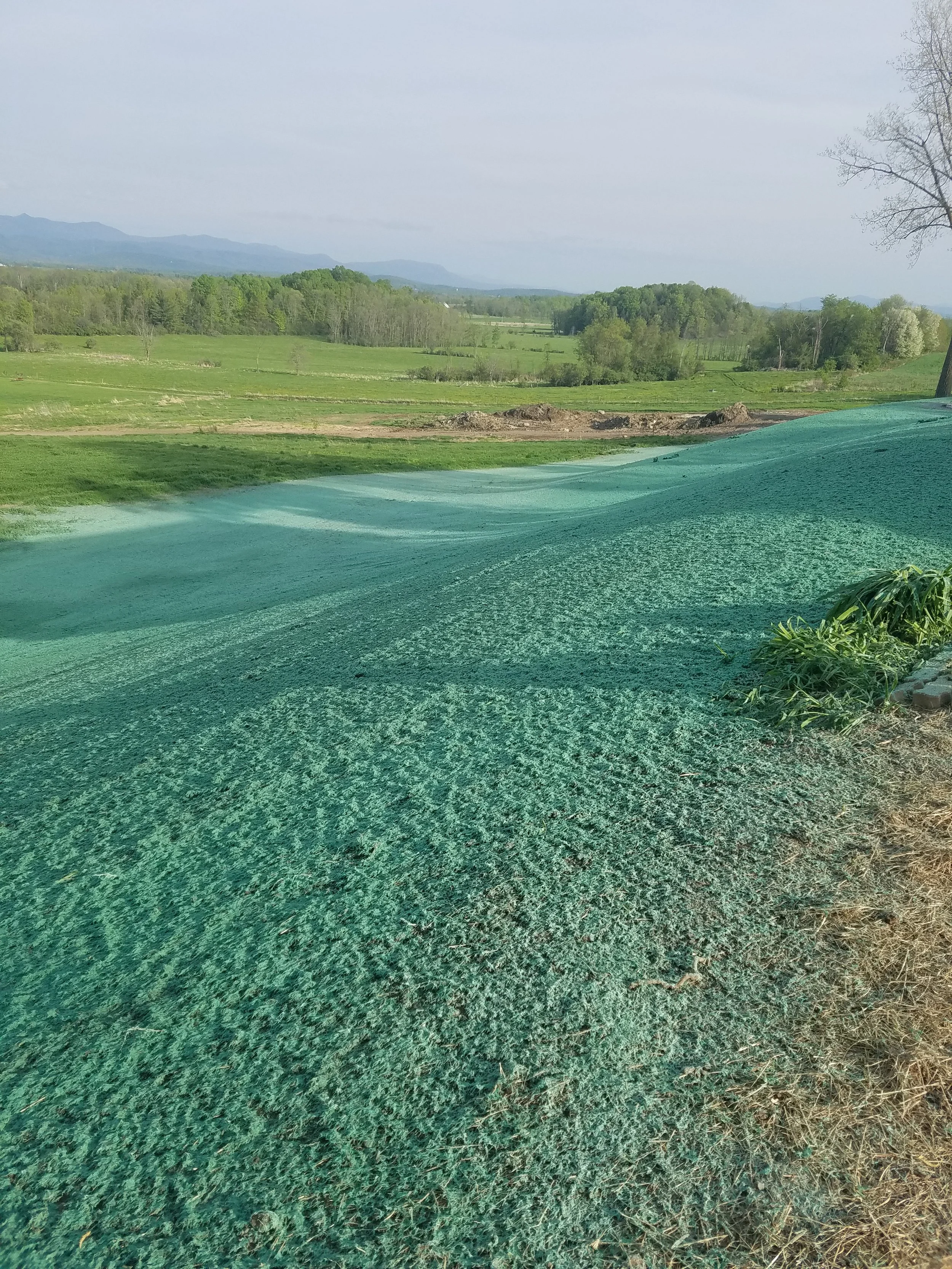 Summit Landworks_Hydroseeding_Residential_4.jpg