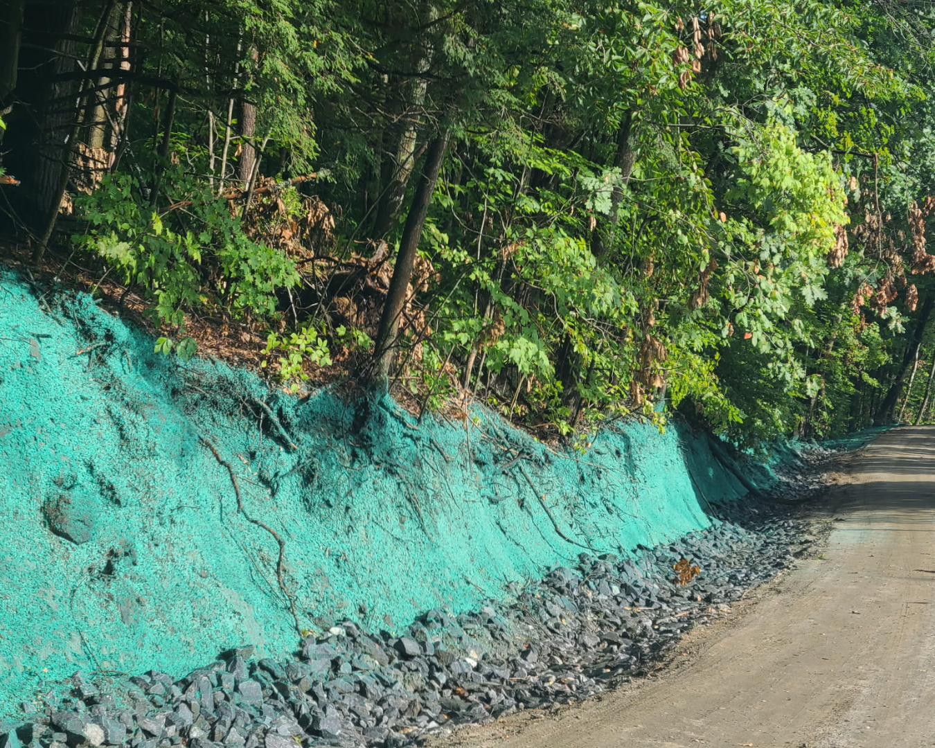 Roadside with green trees and bushes, a painted turquoise earth retaining wall, and rocks at its base.