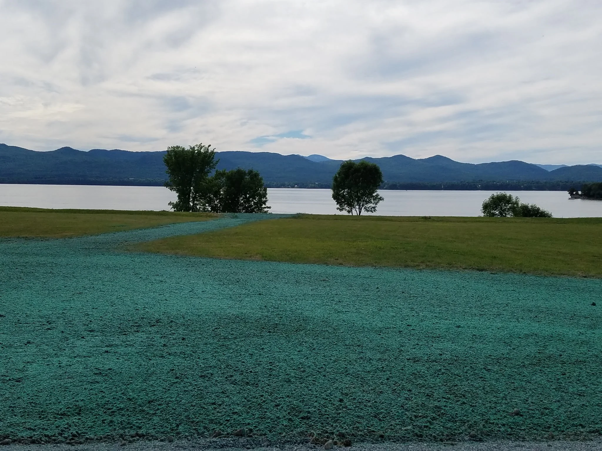 Summit Landworks_Hydroseeding_Residential_15.jpg