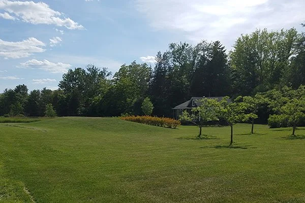 Summit Landworks_Hydroseeding_Residential 7.jpg