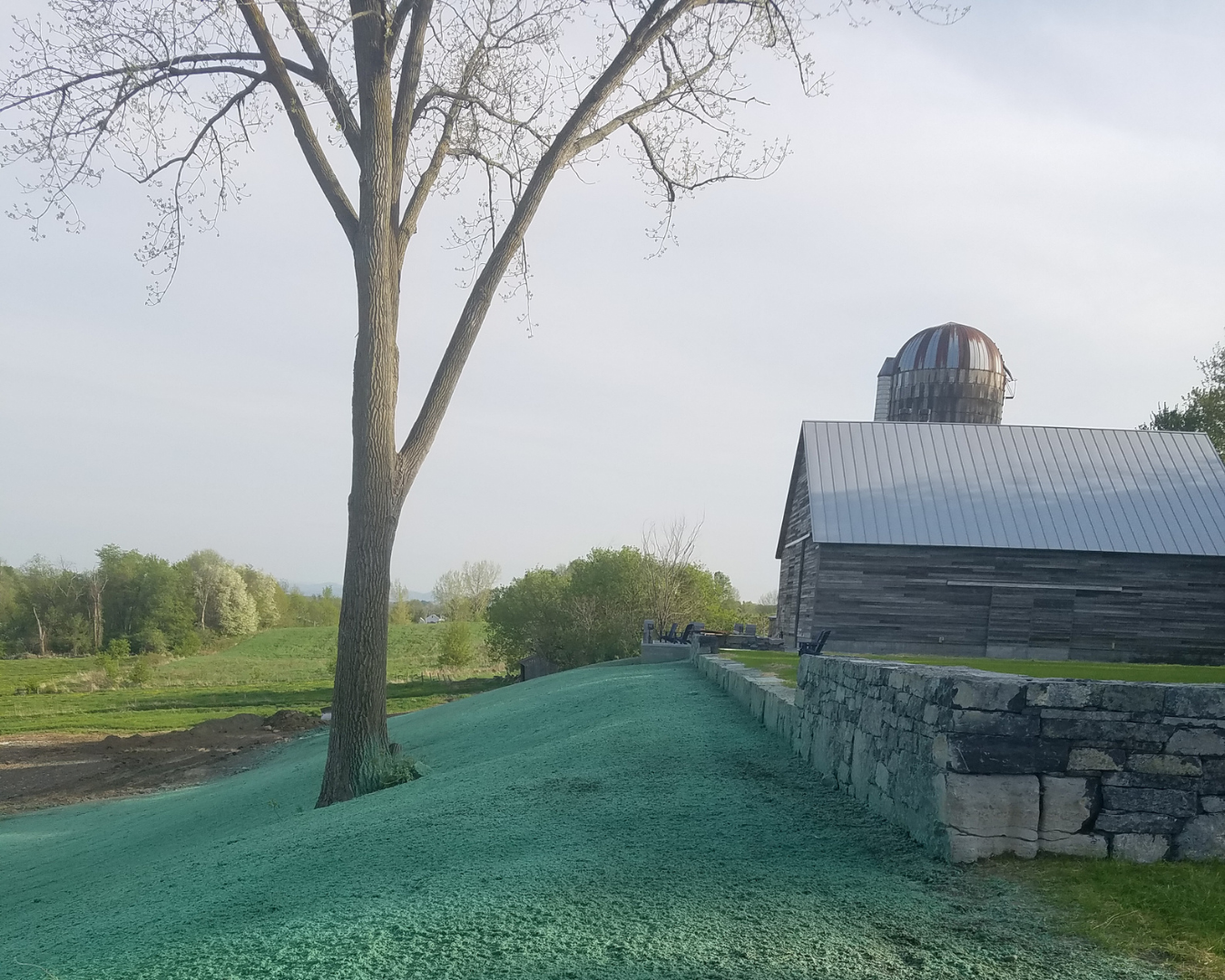 A rural scene with a leafless tree in the foreground, a wooden barn with a metal roof, a stone wall, and a distant landscape of green fields and trees under a clear sky.