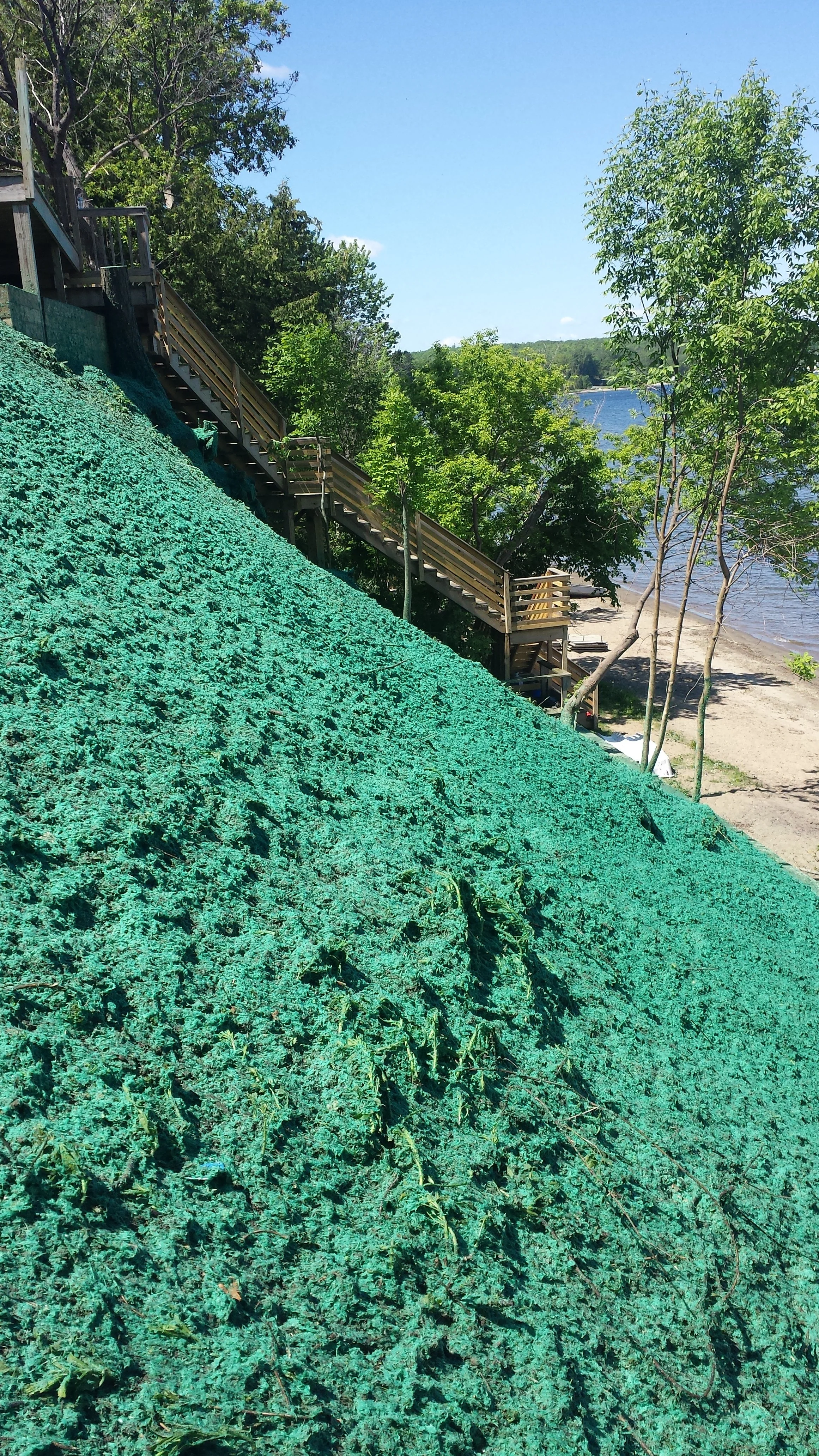 Summit Landworks_Hydroseeding_Residential_14.jpg