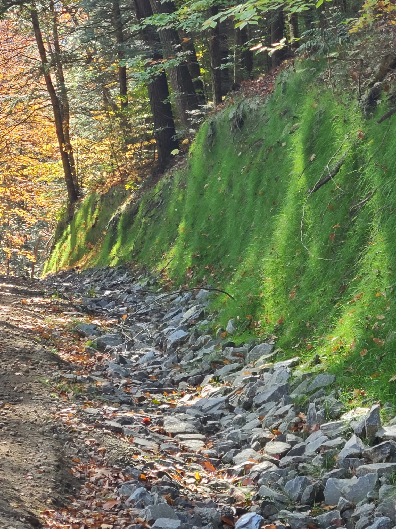 Summit Landworks_Hydroseeding_Erosion Control_26.jpg