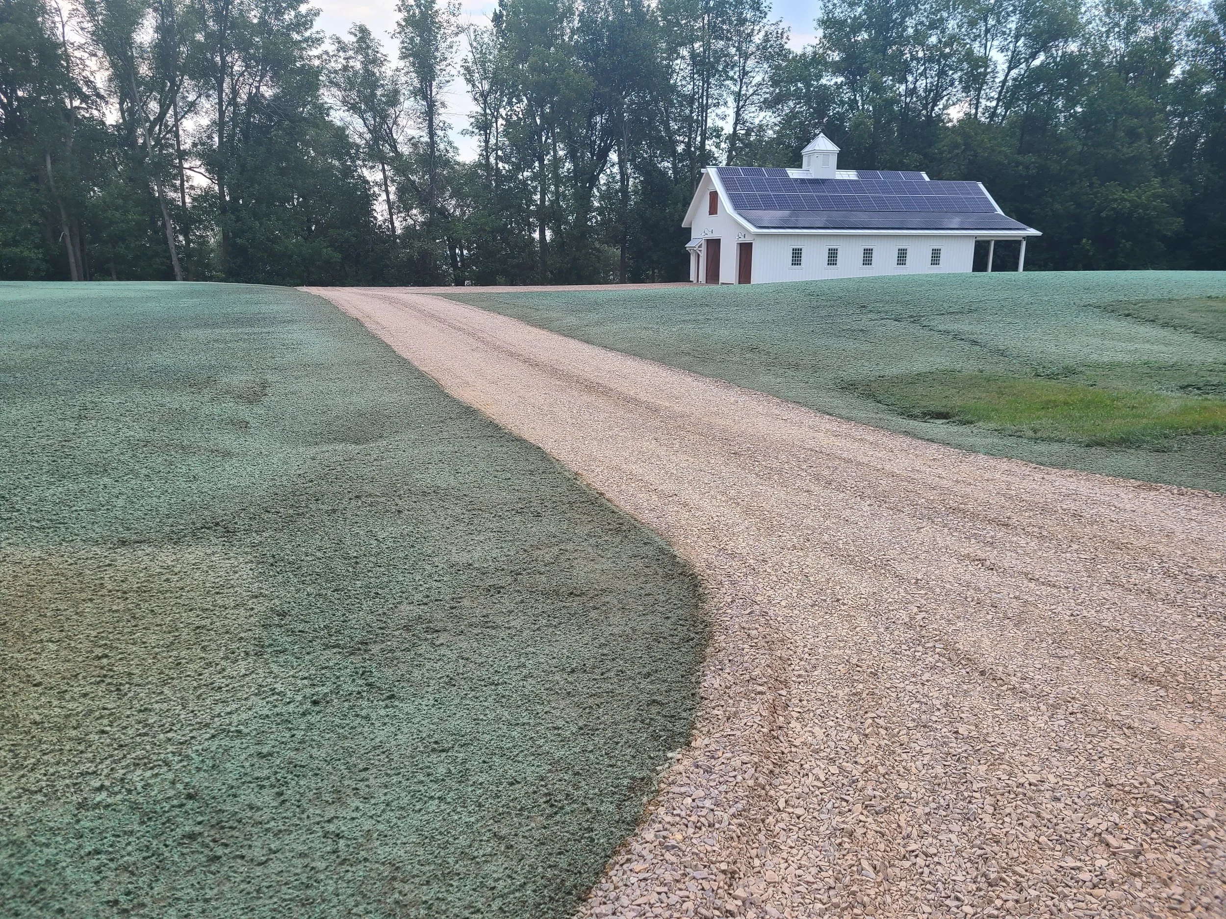 Summit Landworks_Hydroseeding_Residential_22.jpg