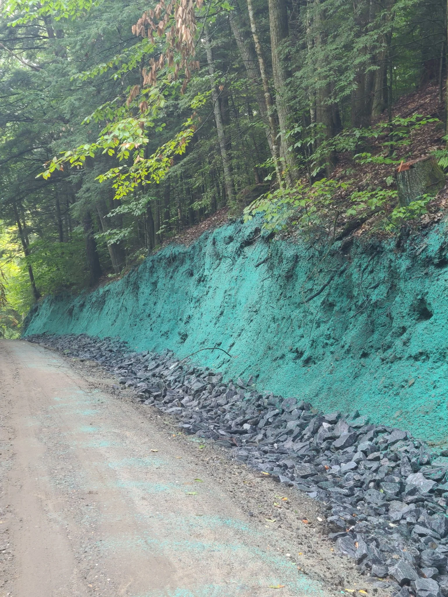 Summit Landworks_Hydroseeding_Municipal_12.jpg