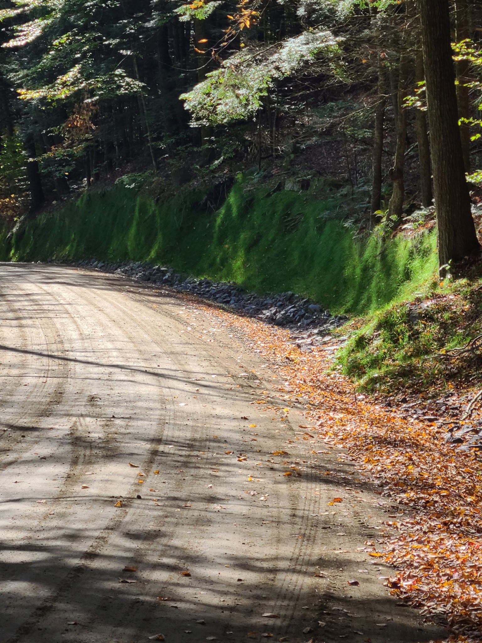 Summit Landworks_Hydroseeding_Erosion Control_26(1).jpg
