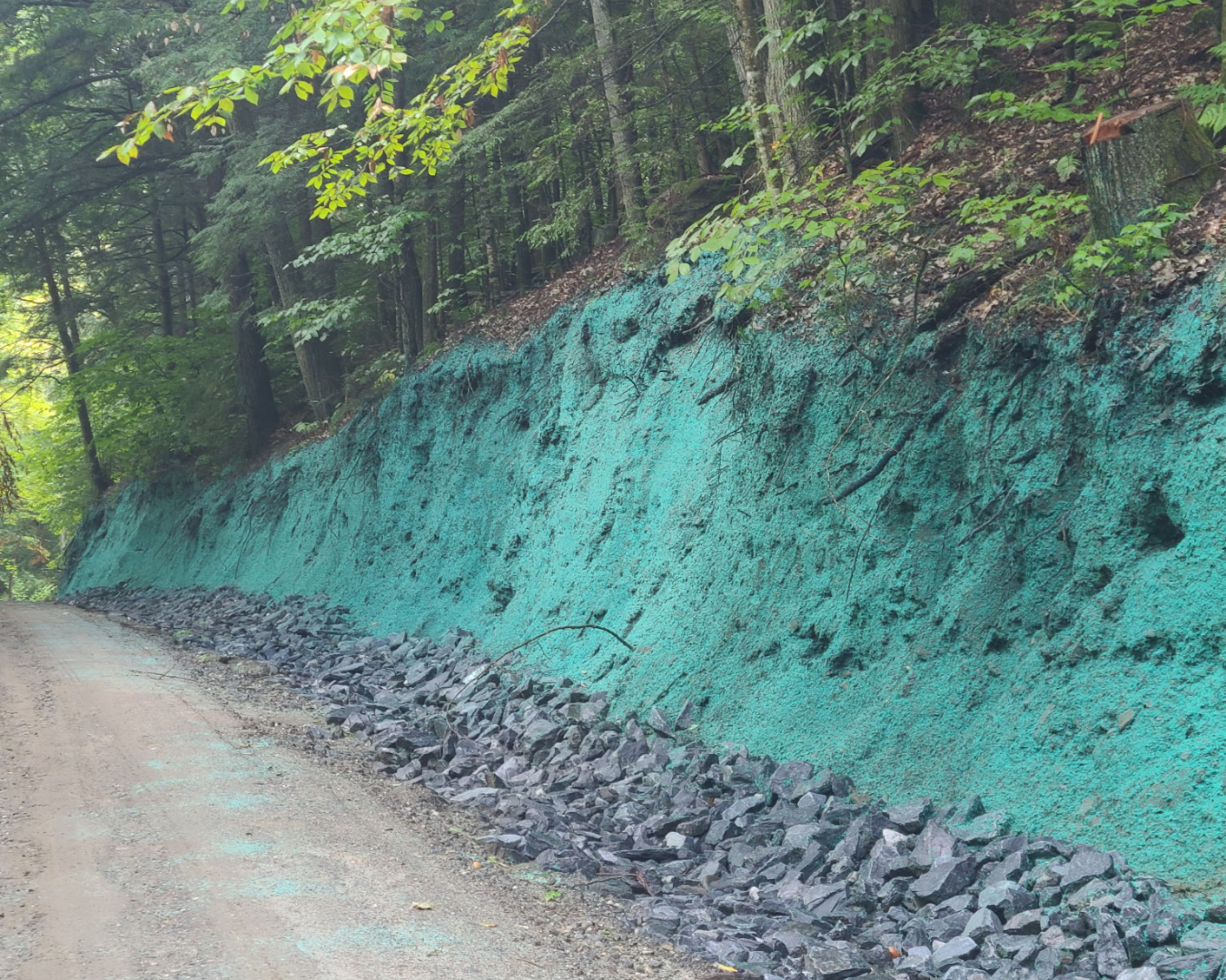 A forested roadside with a cliff painted with turquoise color on the soil, stones at the base, and trees with green leaves overhead.
