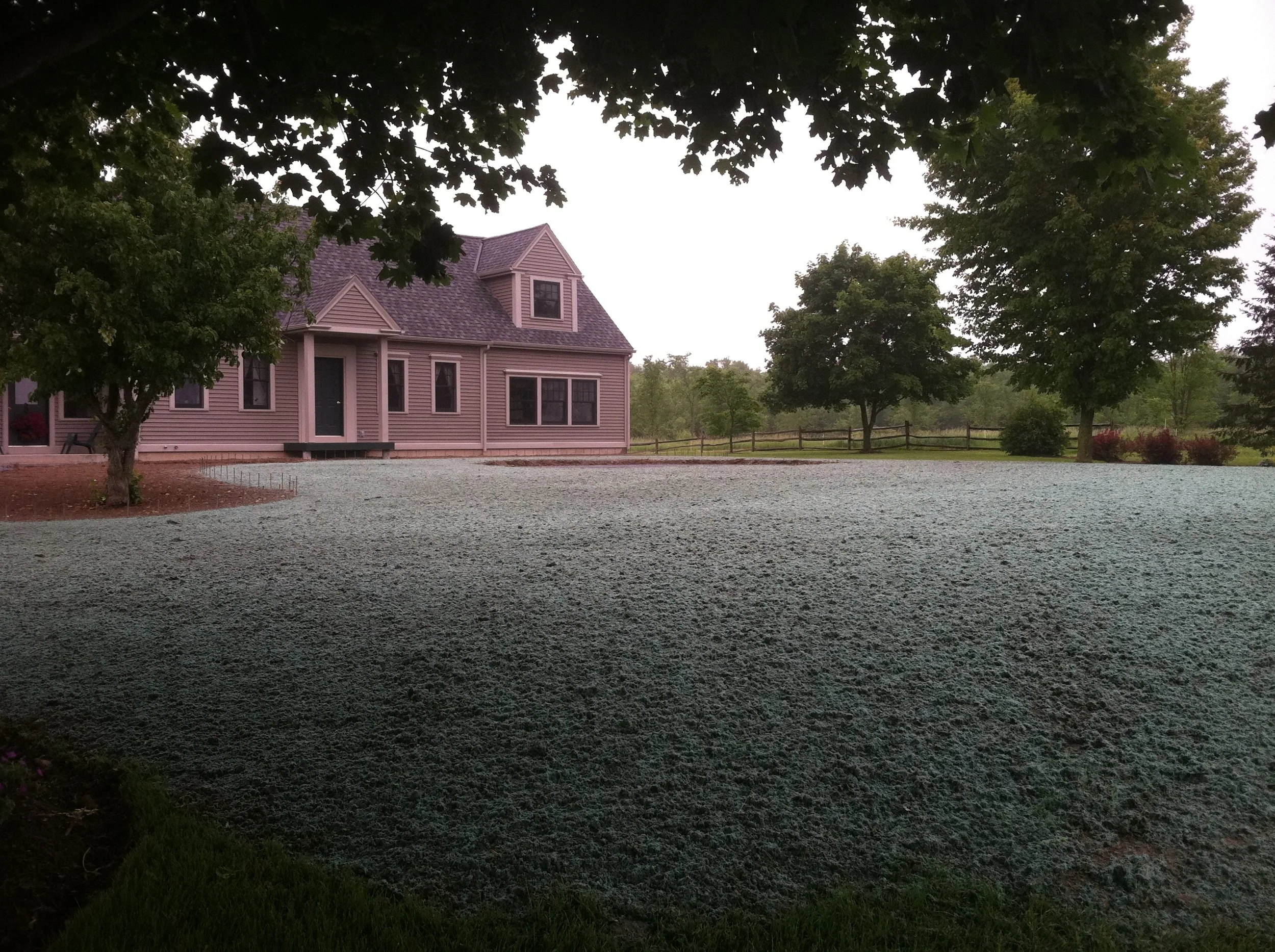 Summit Landworks_Hydroseeding_Residential_23.JPG