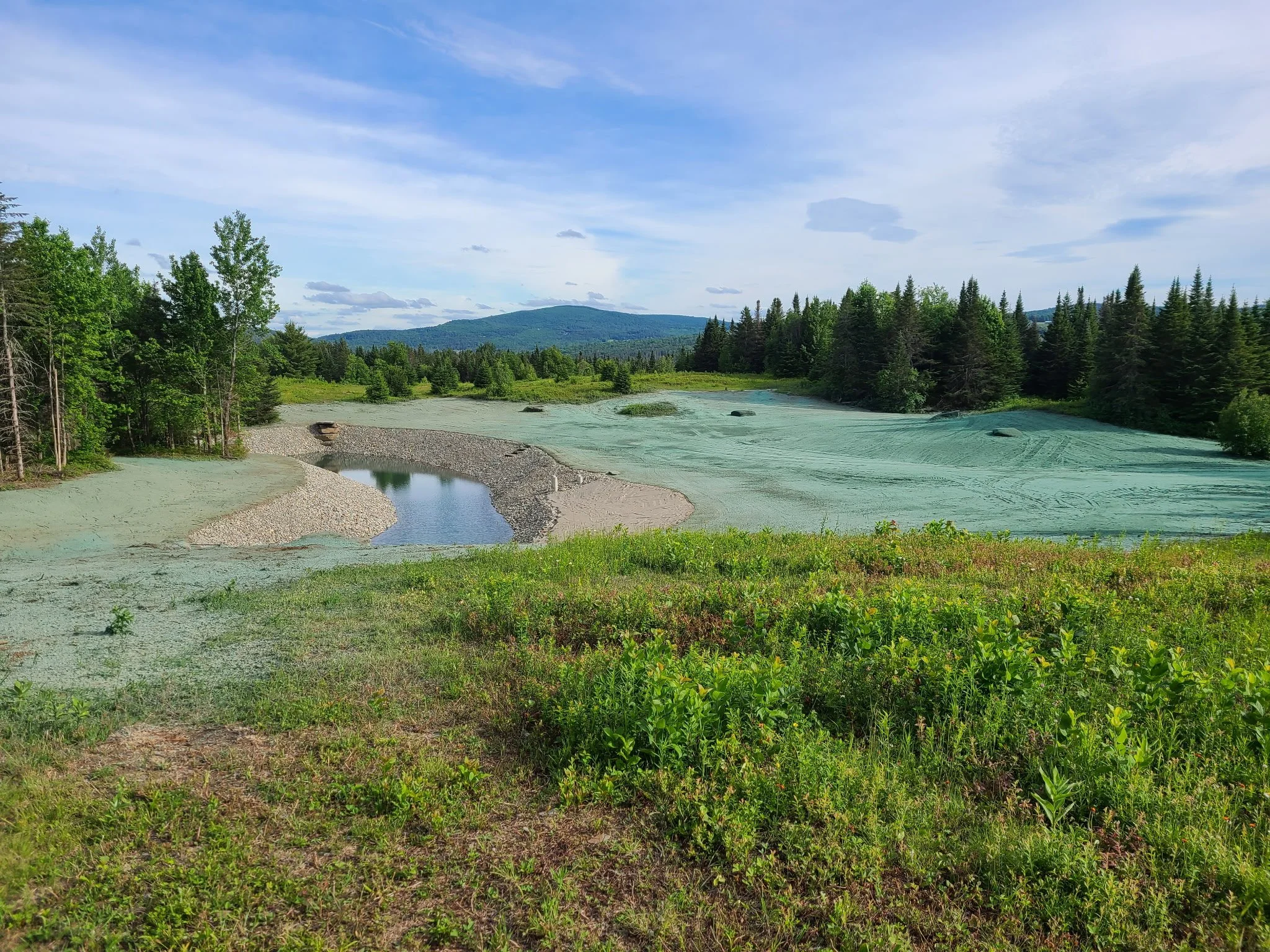 Summit Landworks_Hydroseeding_Residential_1.jpg