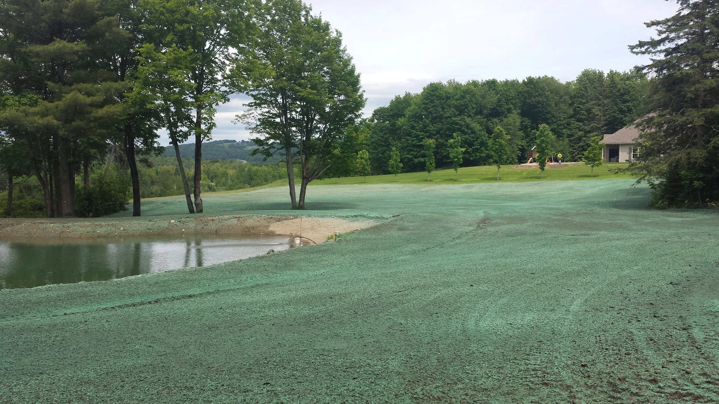 Summit Landworks_Hydroseeding_Residential_5.jpg