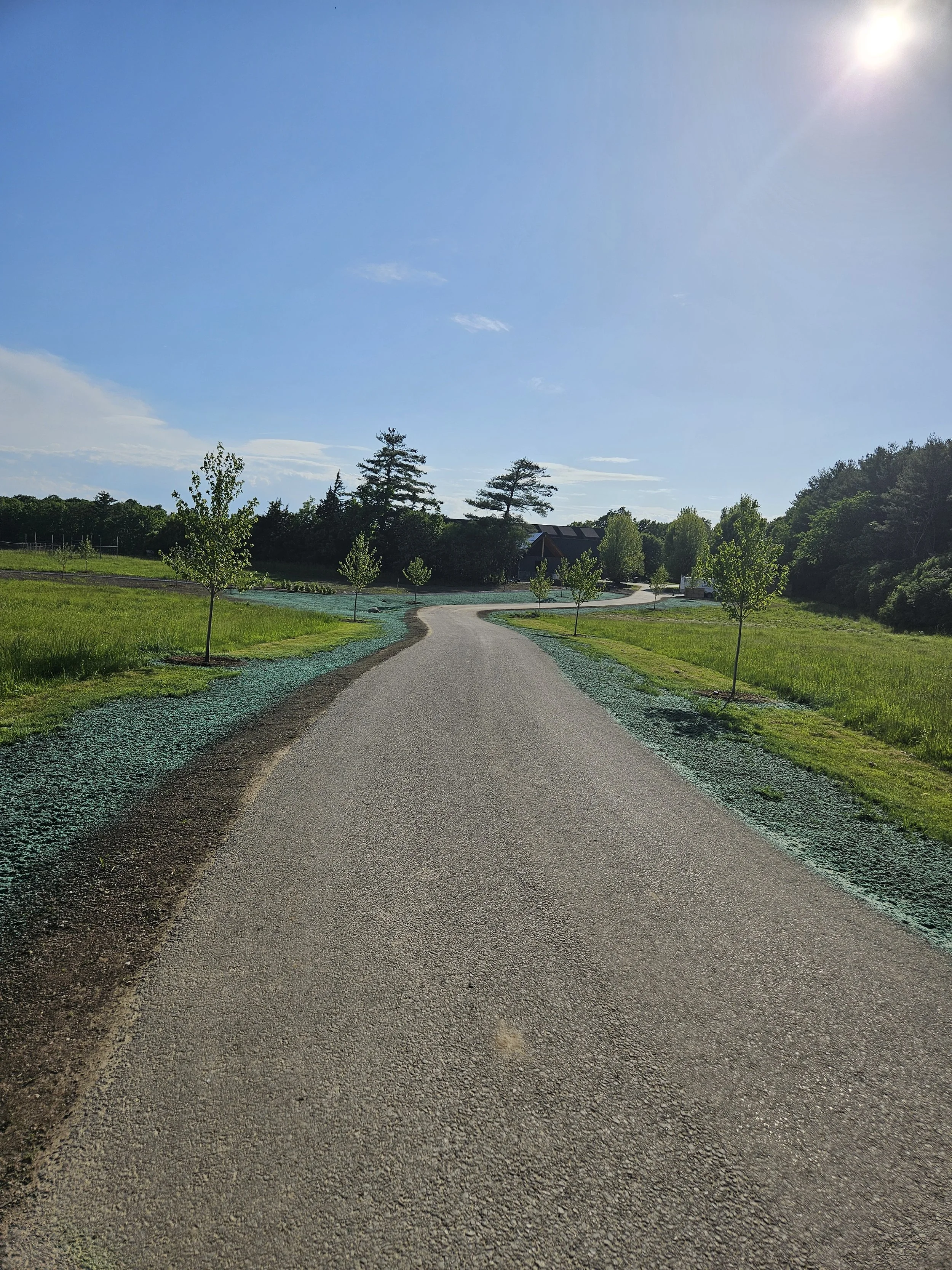 Summit Landworks_Hydroseeding_Residential_2.jpg