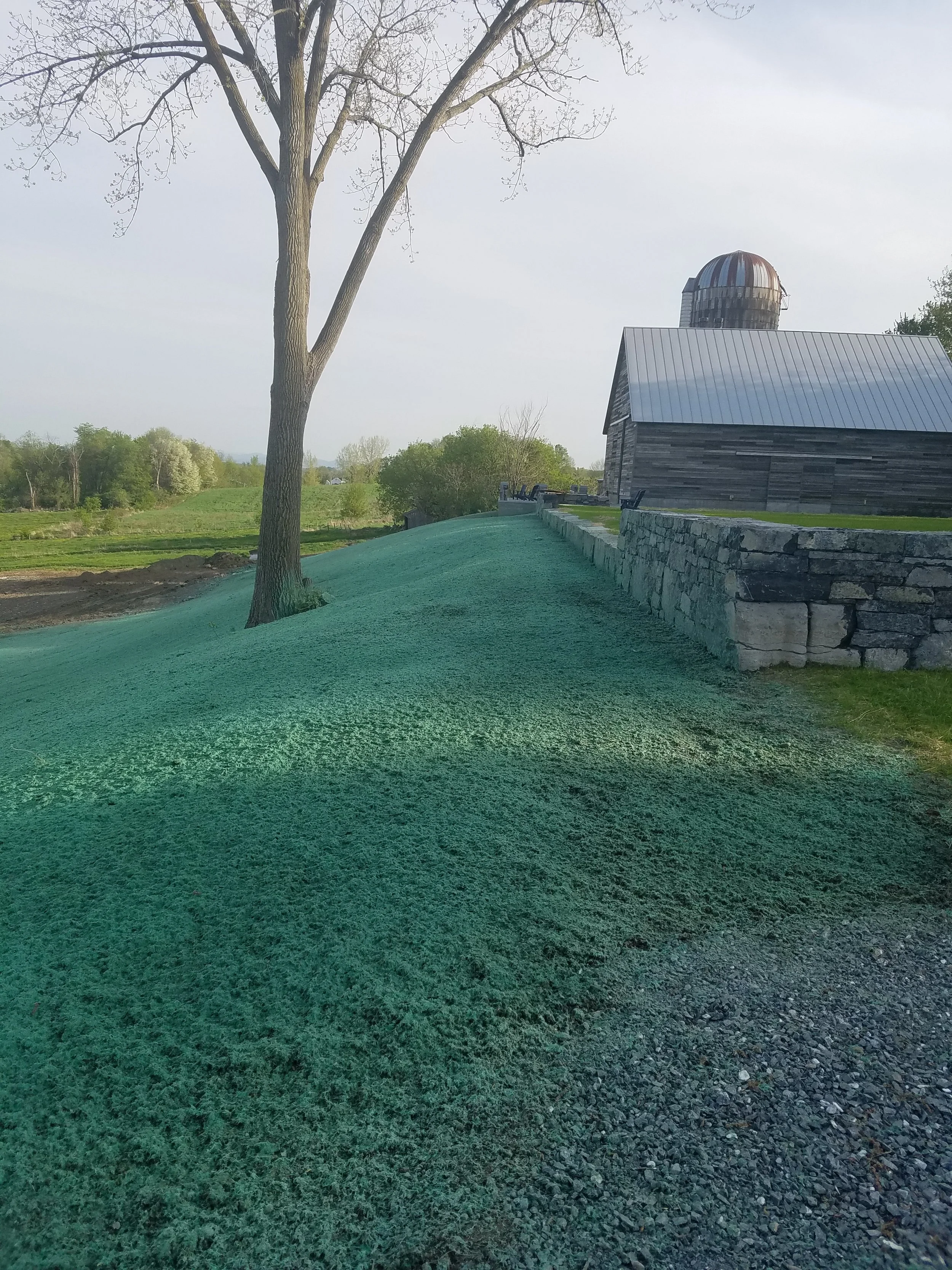 Summit Landworks_Hydroseeding_Erosion Control_3.jpg